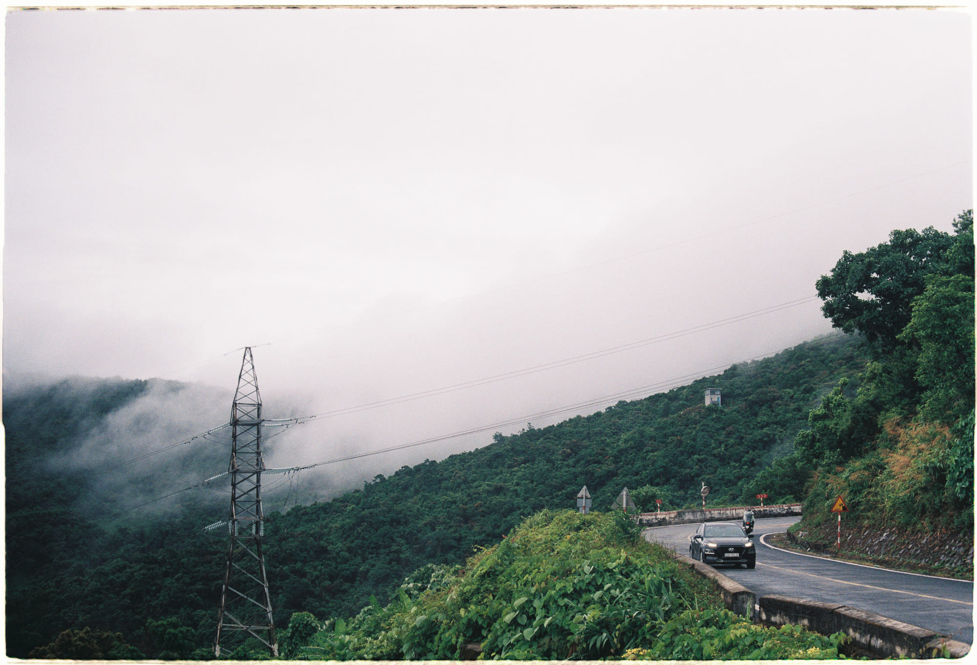 Xác sống thiên nhiên và thần kinh ký sinh học 861 – khoa hoc, dong vat, ky sinh hoc, xac song thien nhien, than kinh ky sinh hoc.