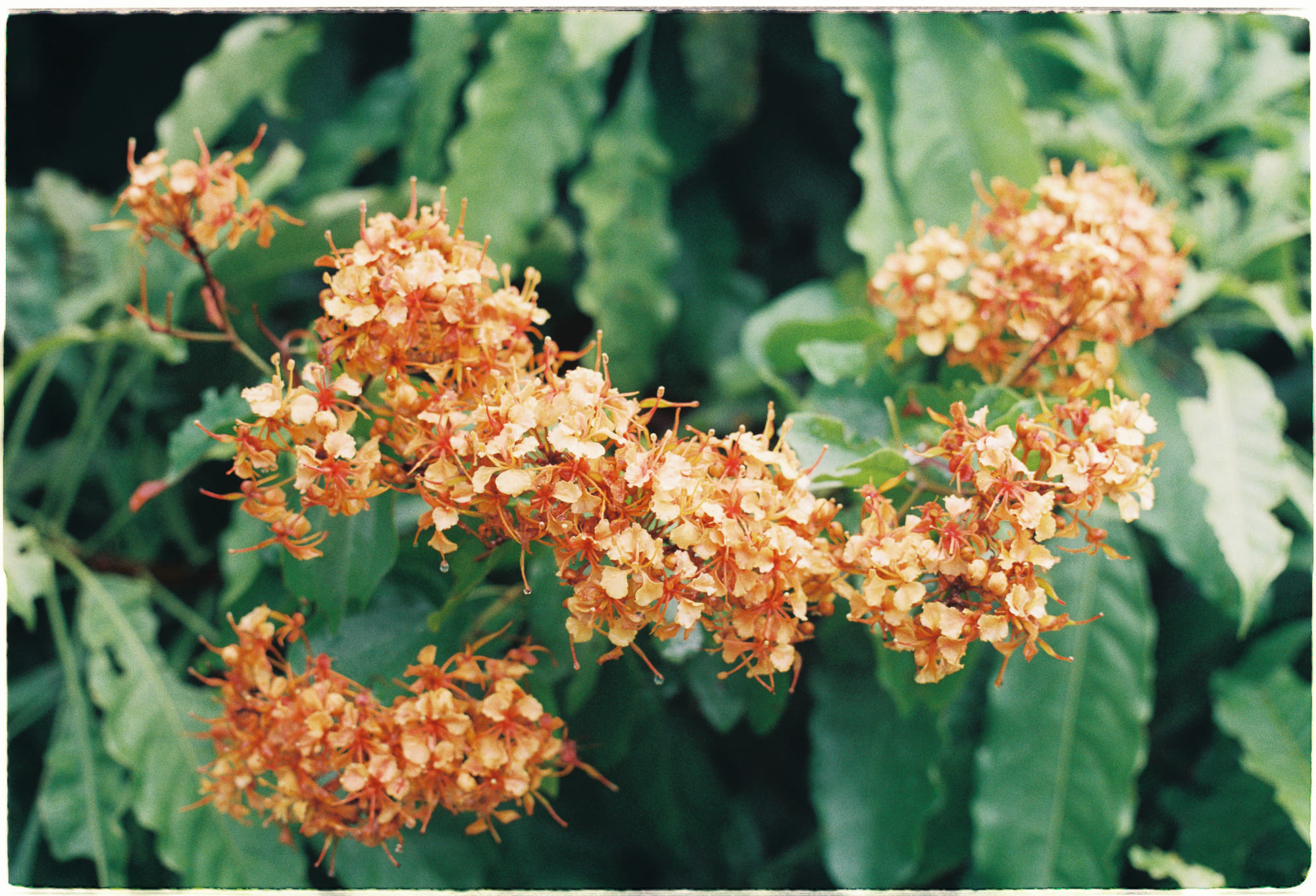 Kiểm soát trầm cảm và những điều cần biết 371 – khoa hoc, xa hoi hoc, sinh hoc, y hoc, tam ly hoc, tram cam, nghien cuu, nghien cuu khoa hoc, kiem soat tram cam.