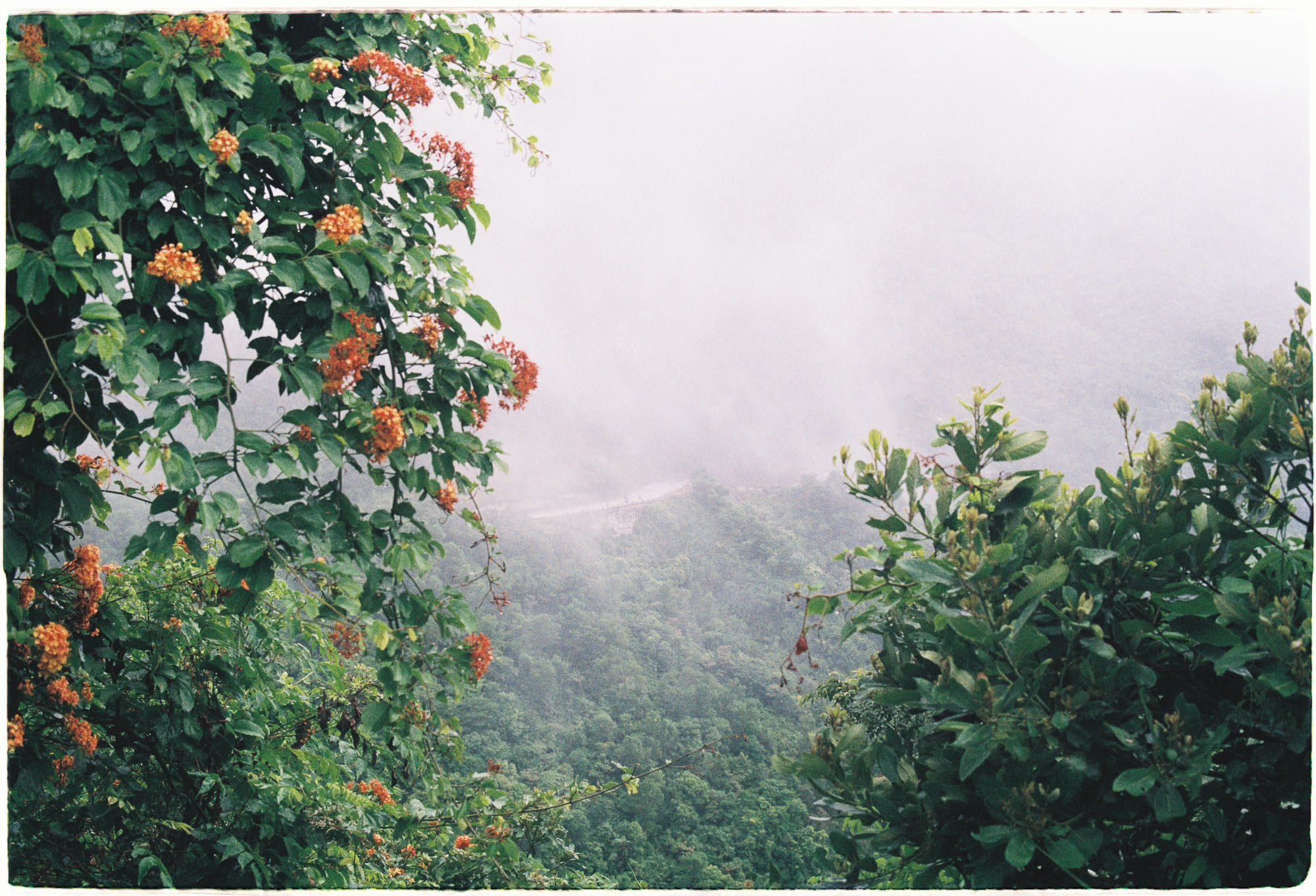 Lịch sử Do Thái Phương Đông và đấu tranh của cộng đồng Mizrahi