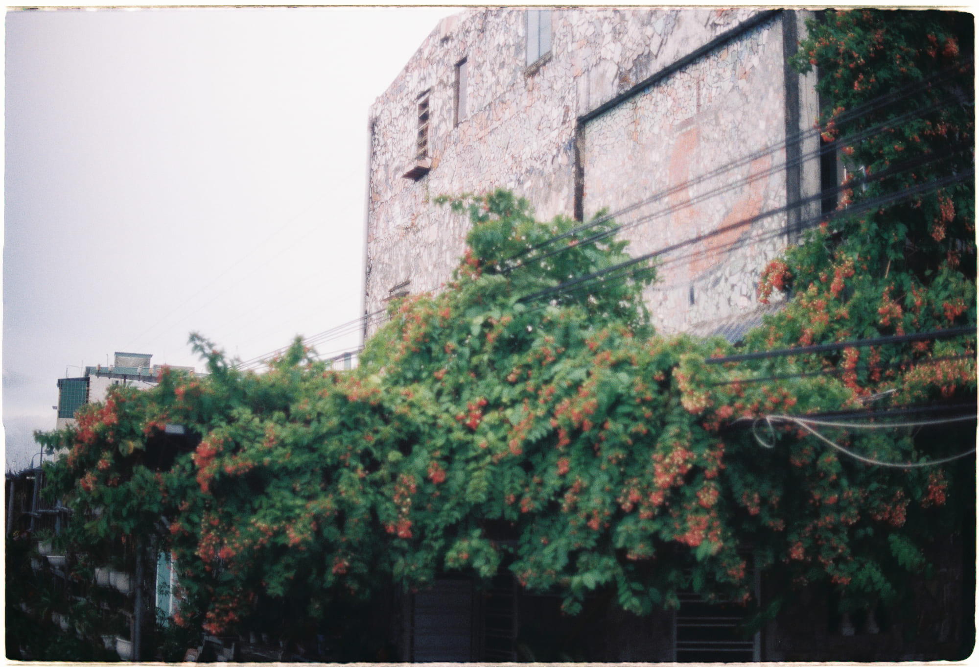 4 loại kẻ thù (và cách đánh bại chúng) 957 – xa hoi hoc, tam ly hoc, tu duy, ke thu, tu duy nhan thuc, danh bai ke thu.