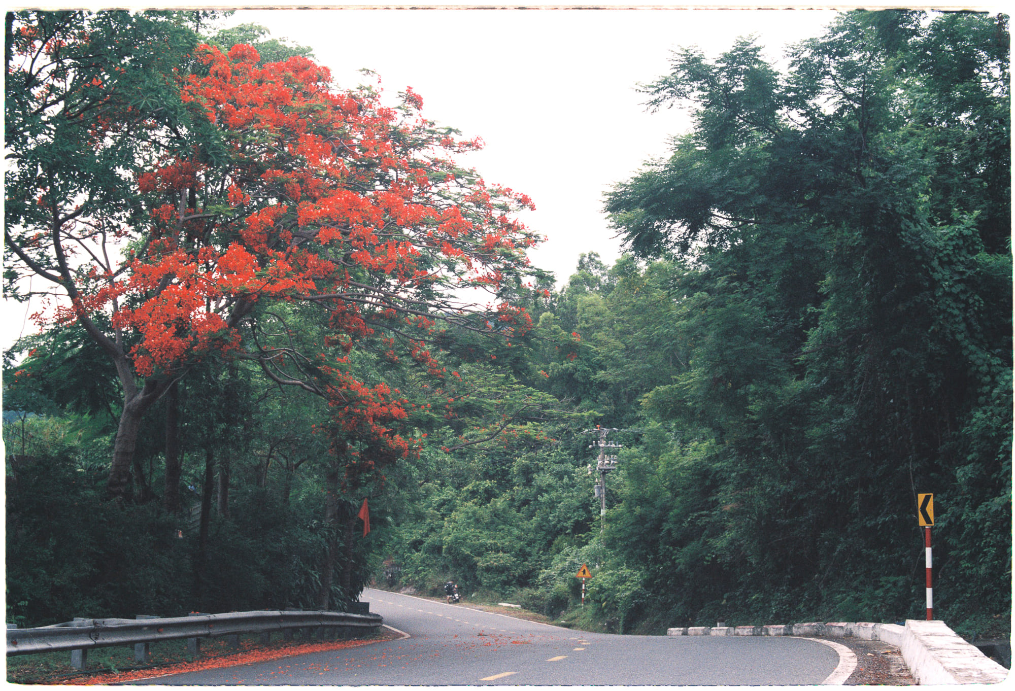 Trung tâm phát triển văn hóa đọc Nhà văn