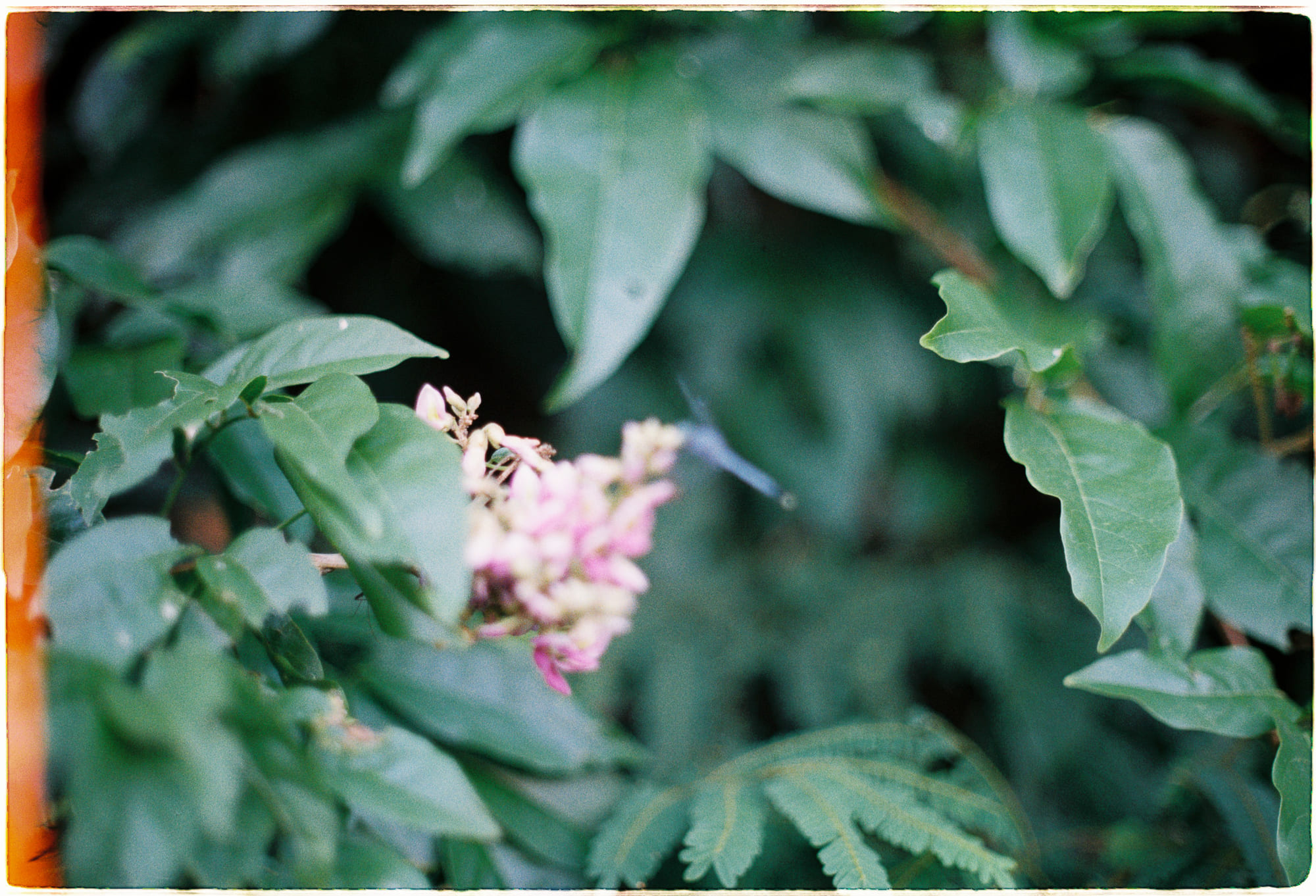 Công nghiệp hóa tang ma đã giết chết bản sắc truyền thống như thế nào?