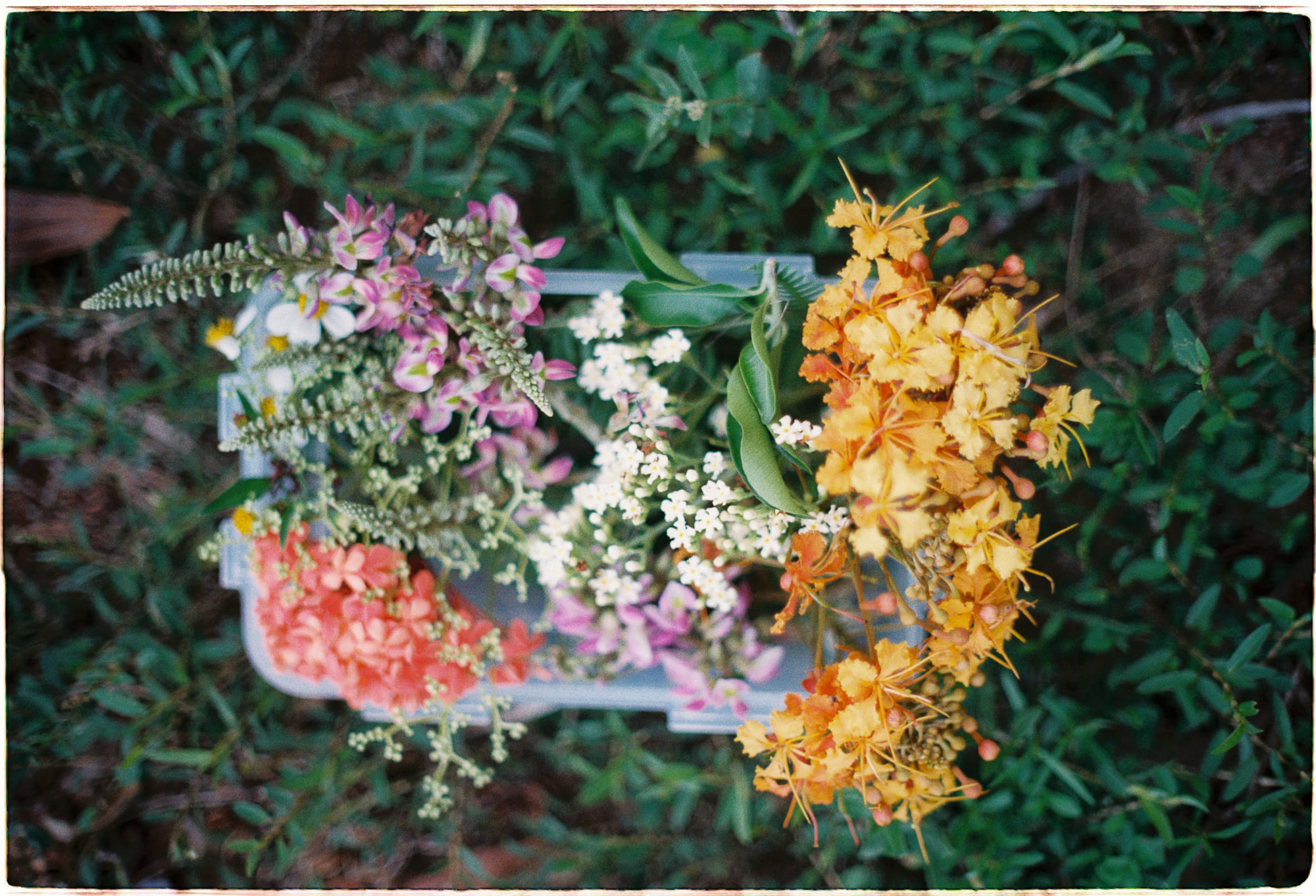 Ký ức tuổi thơ định hình thế giới quan