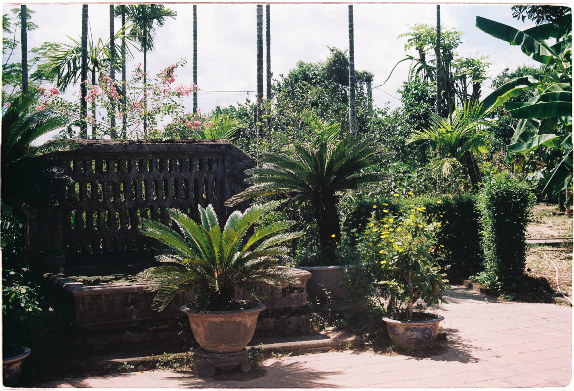 Sự cô độc không phải là sự cô đơn