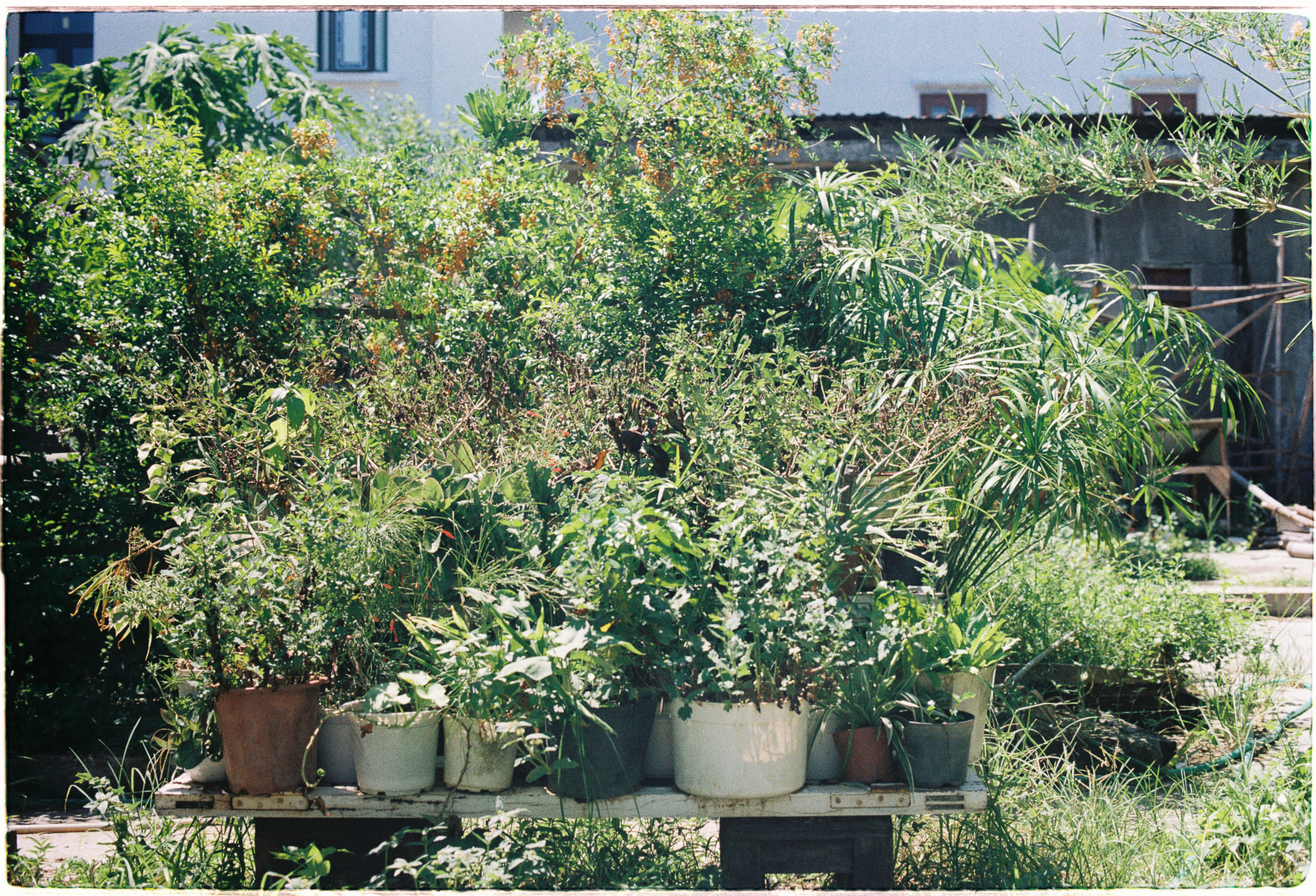 Hạnh phúc thực sự trong thế giới đau khổ Hạnh phúc thực sự trong thế giới đau khổ 328 – tam ly hoc, ton giao, phat giao, triet hoc, how to be authentic simone de beauvoir and the quest for fulfillment, hanh phuc dau kho.