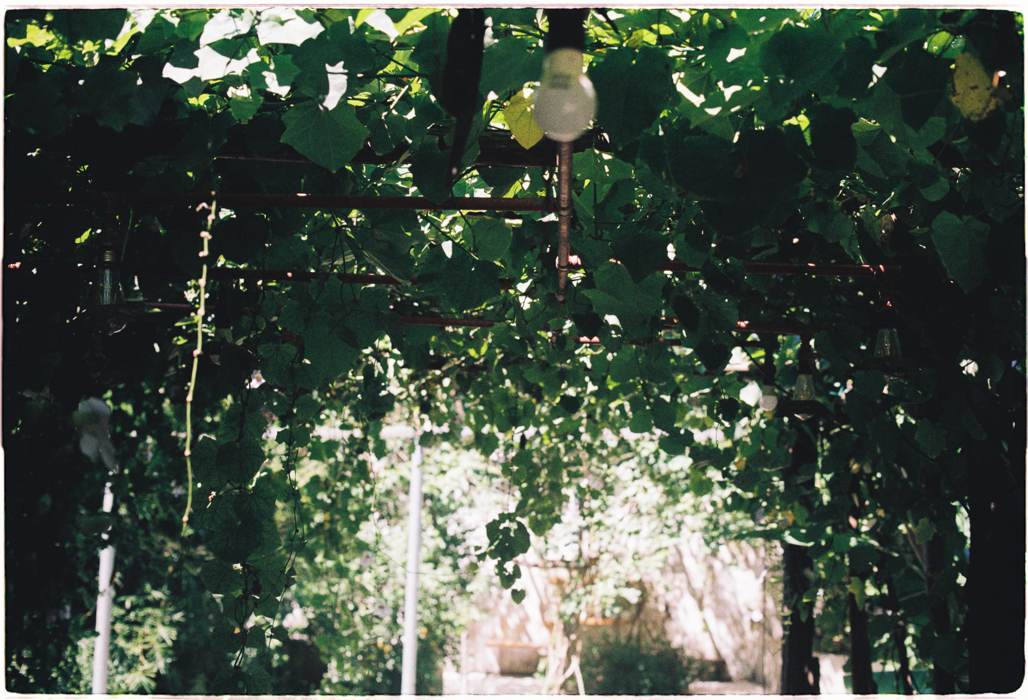 Ngừng tiến hóa loài người vào lúc này