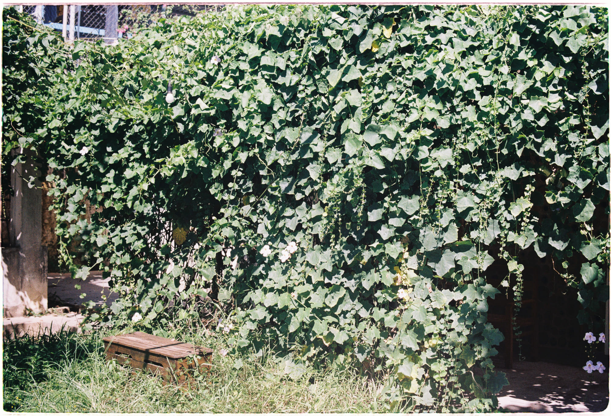 Nghịch lý thông tin lỗ đen chưa được giải quyết