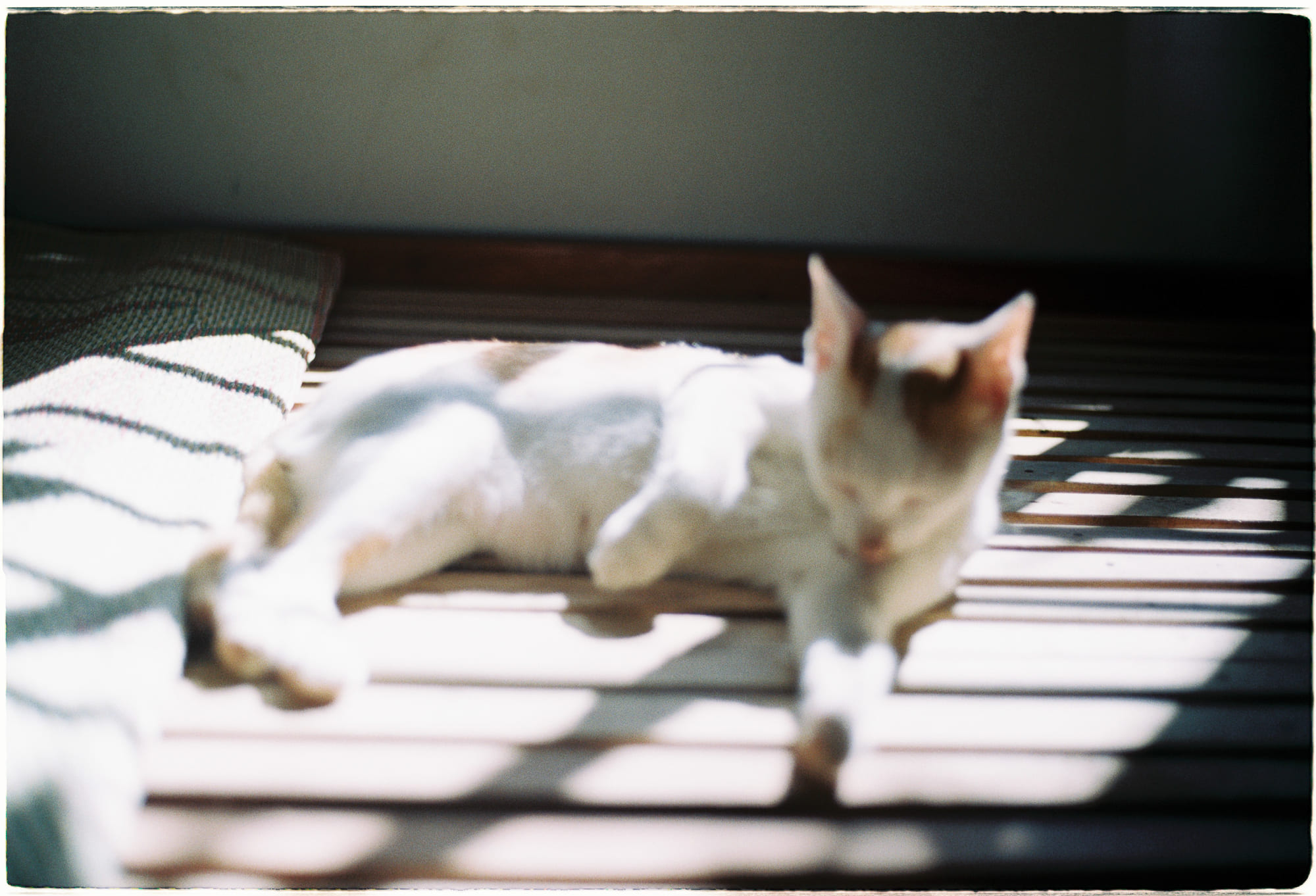 Hòa hợp với sự kỳ lạ của cơ học lượng tử