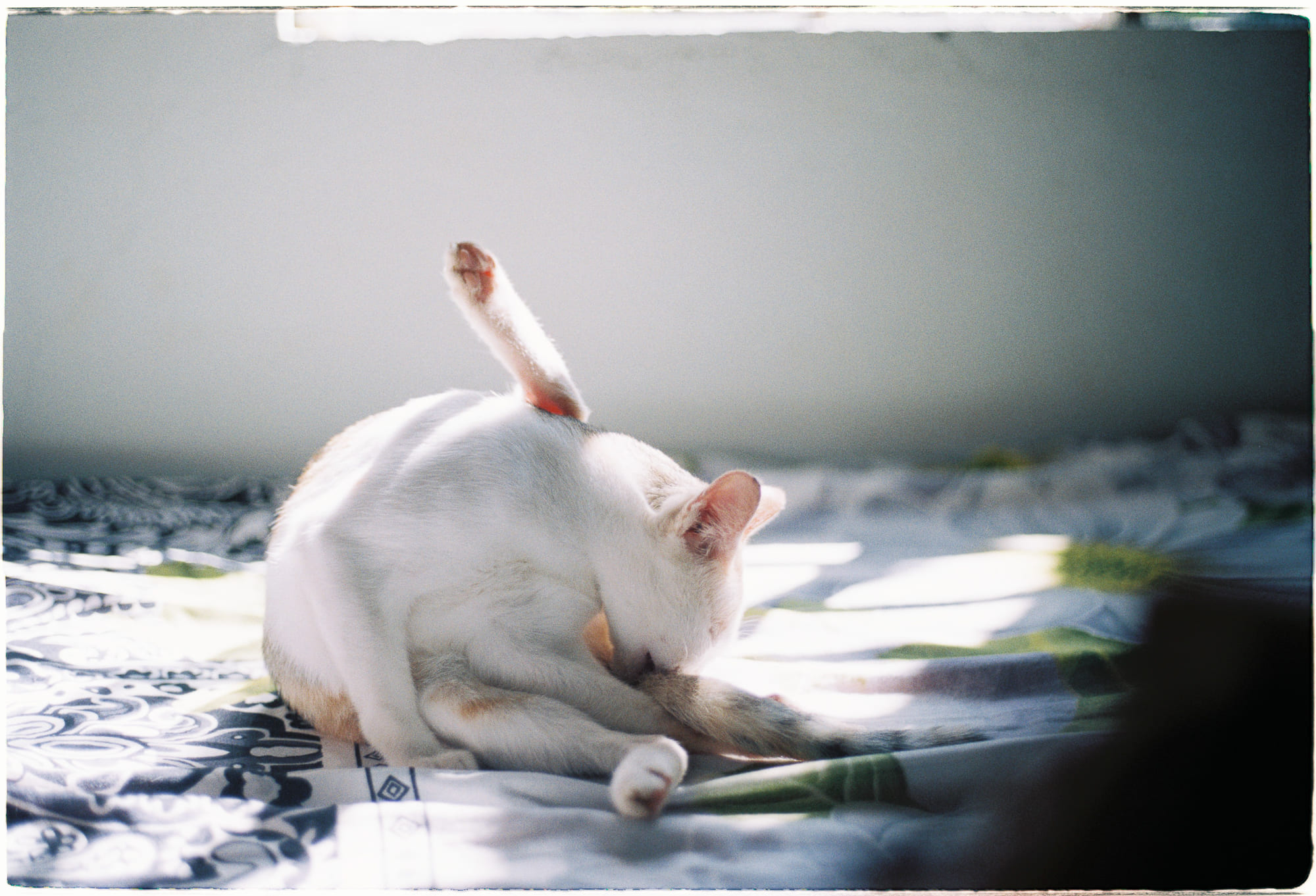 10 điều mới chúng ta học được về cái chết 909 – khoa hoc, tam ly hoc, nhan thuc, cai chet, triet hoc, bai hoc cai chet.