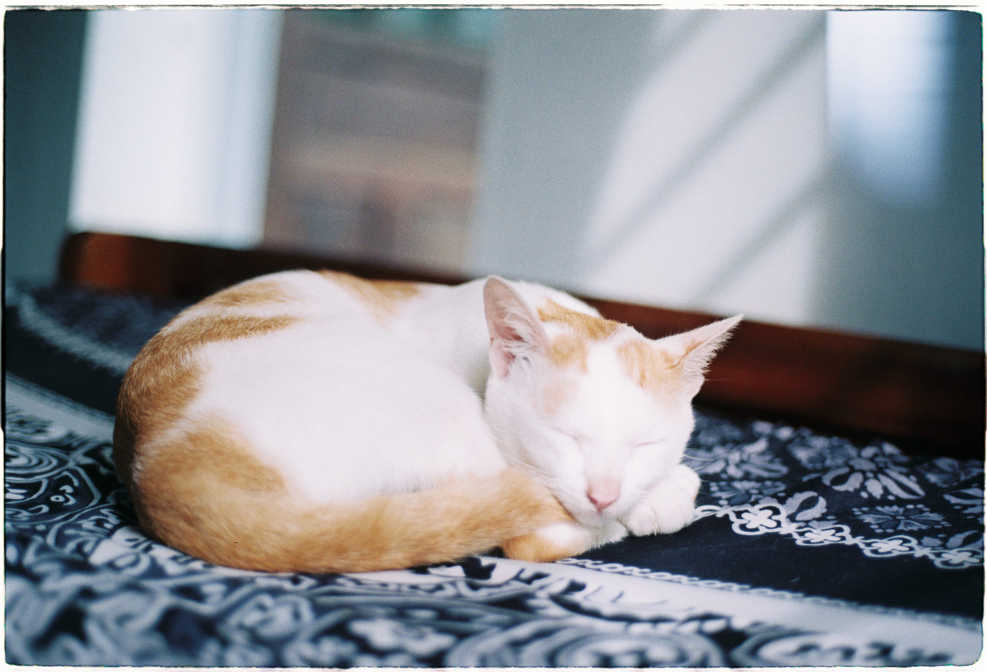 Cách tìm lại bản ngã khi bạn chưa từng có một bản ngã