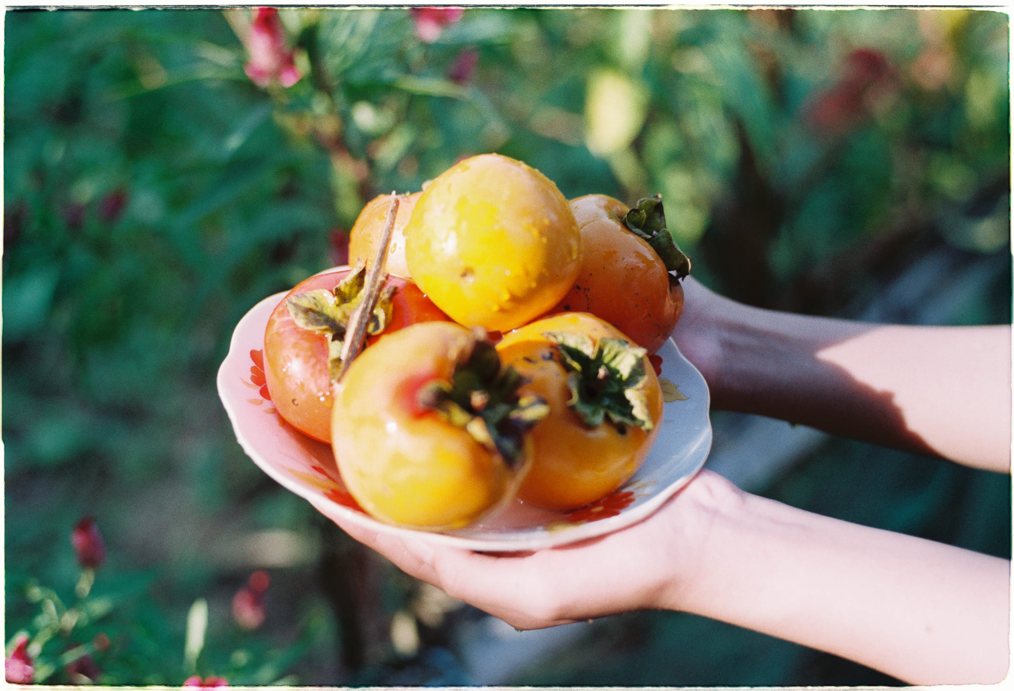 Tại sao lý thuyết toàn tâm lại là triết lý của Jedi