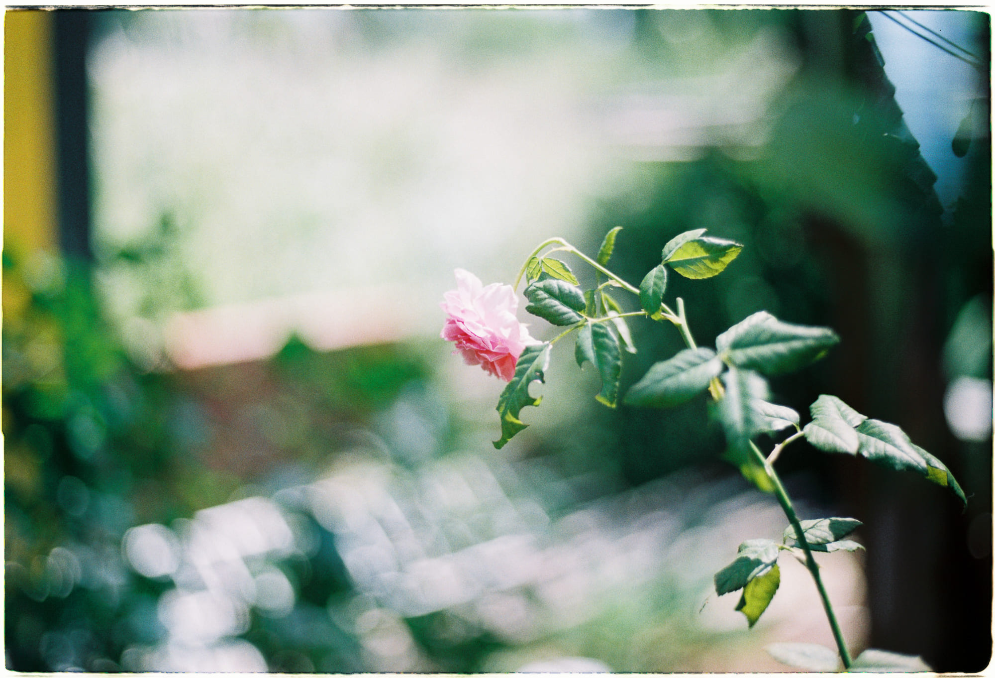 Trung tâm phát triển văn hóa đọc Nhà văn