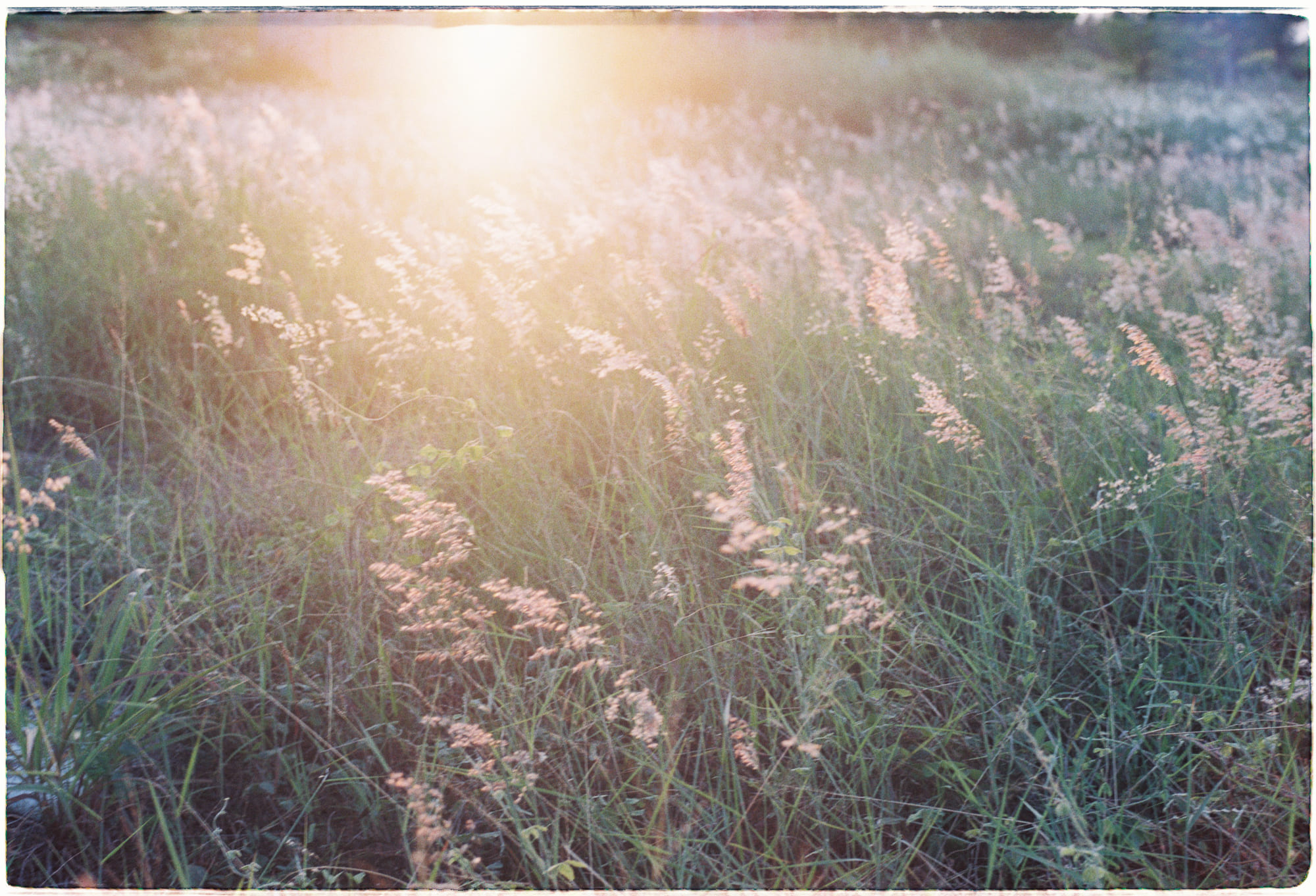 Lịch sử trầm cảm và những điều cần biết