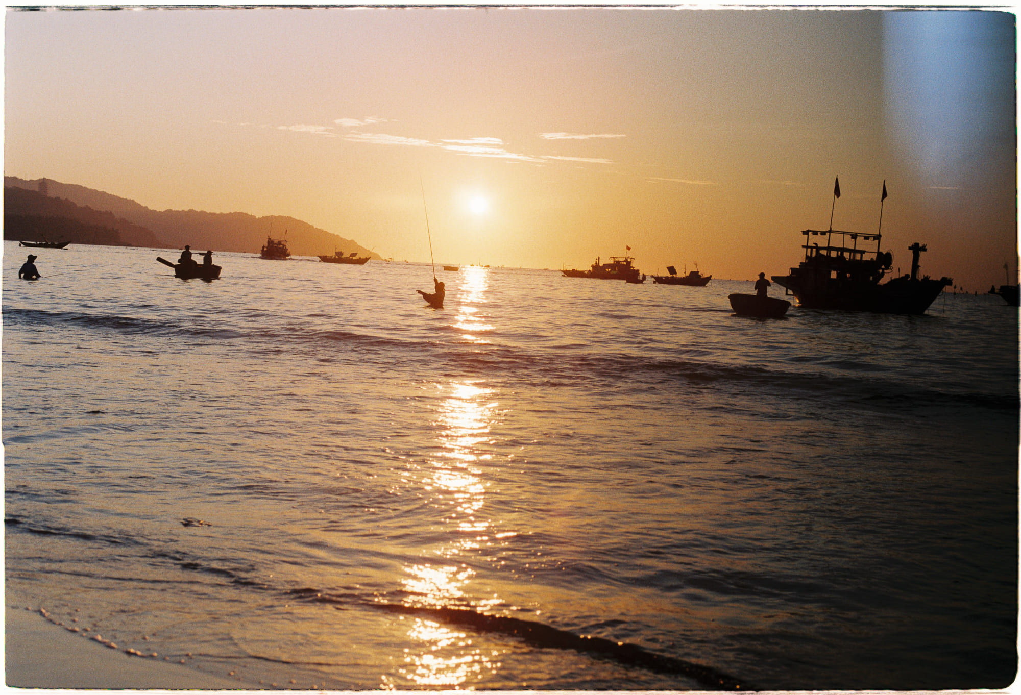 Bộ hàm cây bắt ruồi Venus tạo từ trường