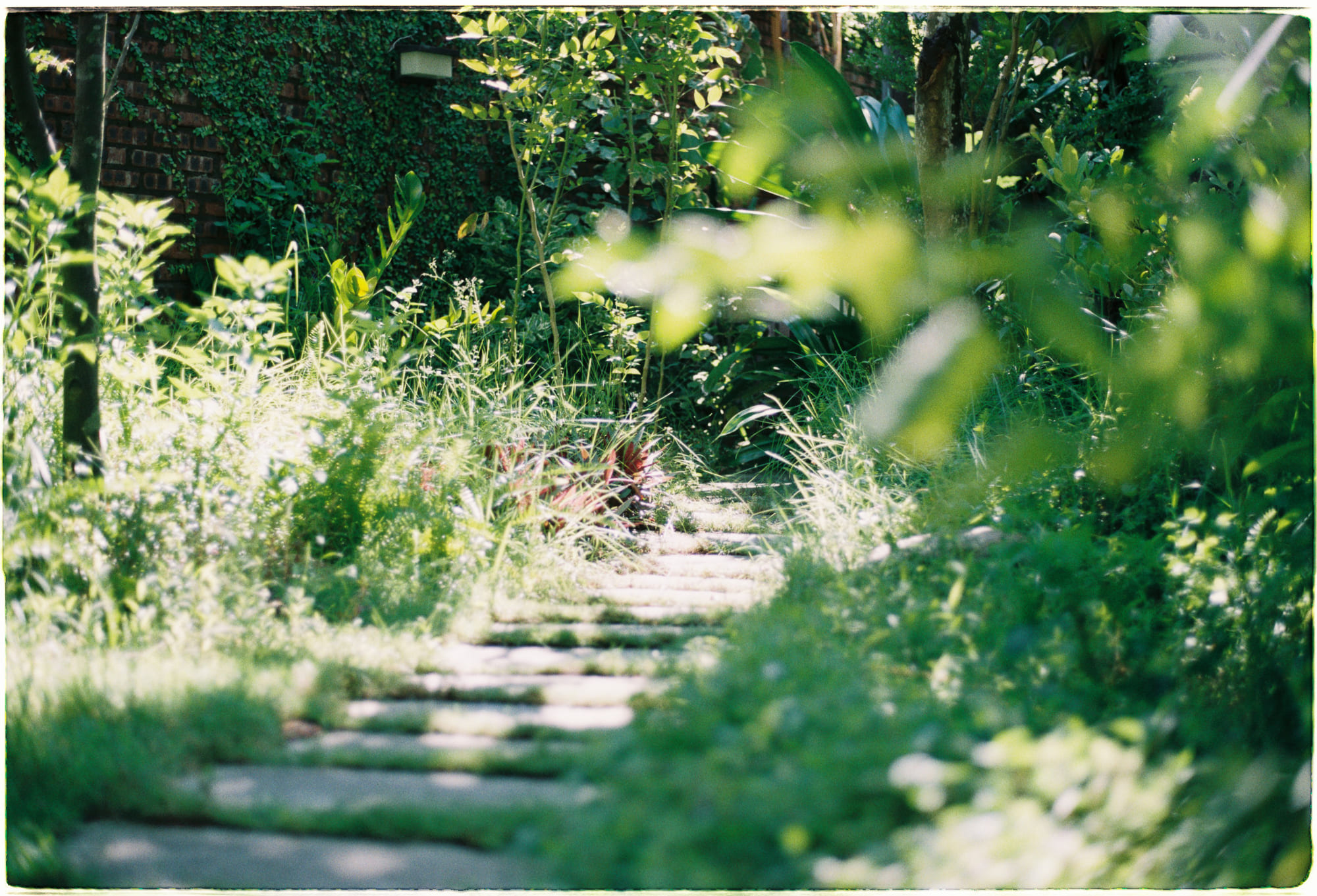 Quán cà phê Hư Vô với chủ đề cái chết