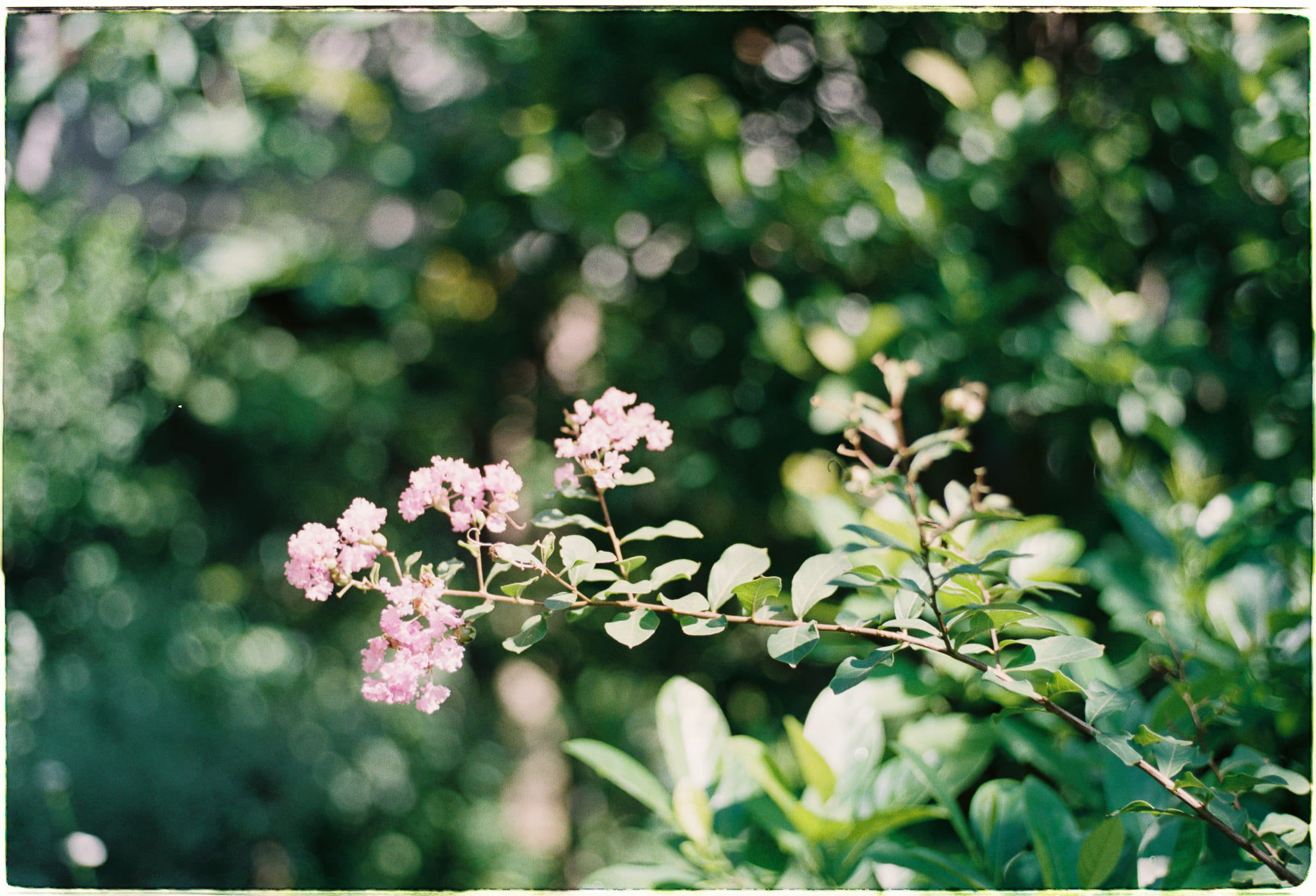 Trung tâm phát triển văn hóa đọc Nhà văn