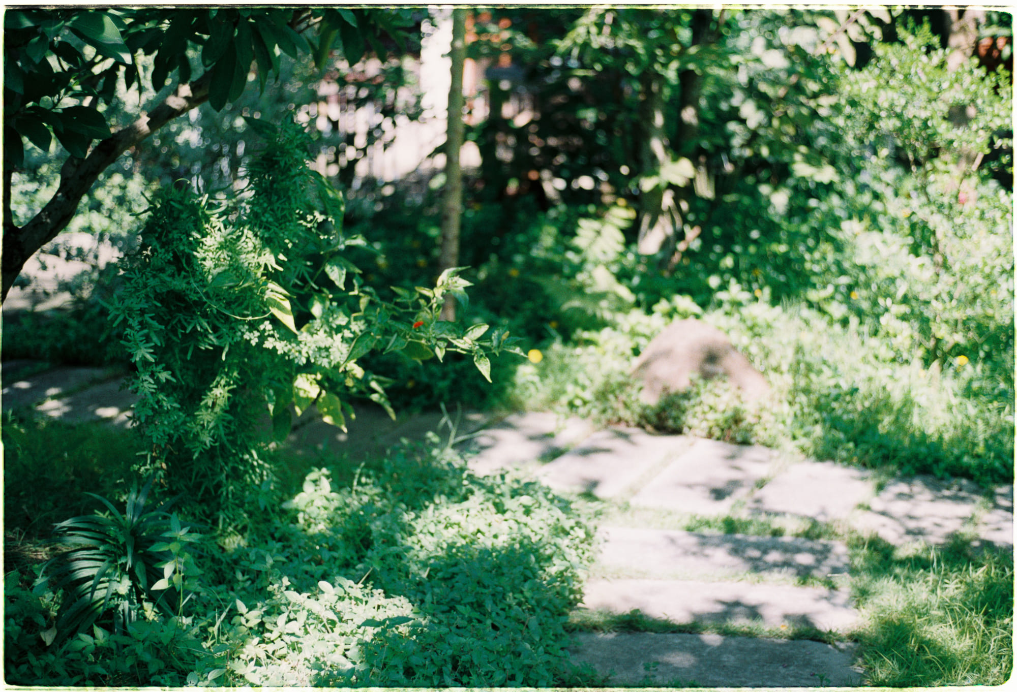 Vì sao thời gian trôi nhanh hơn khi già đi