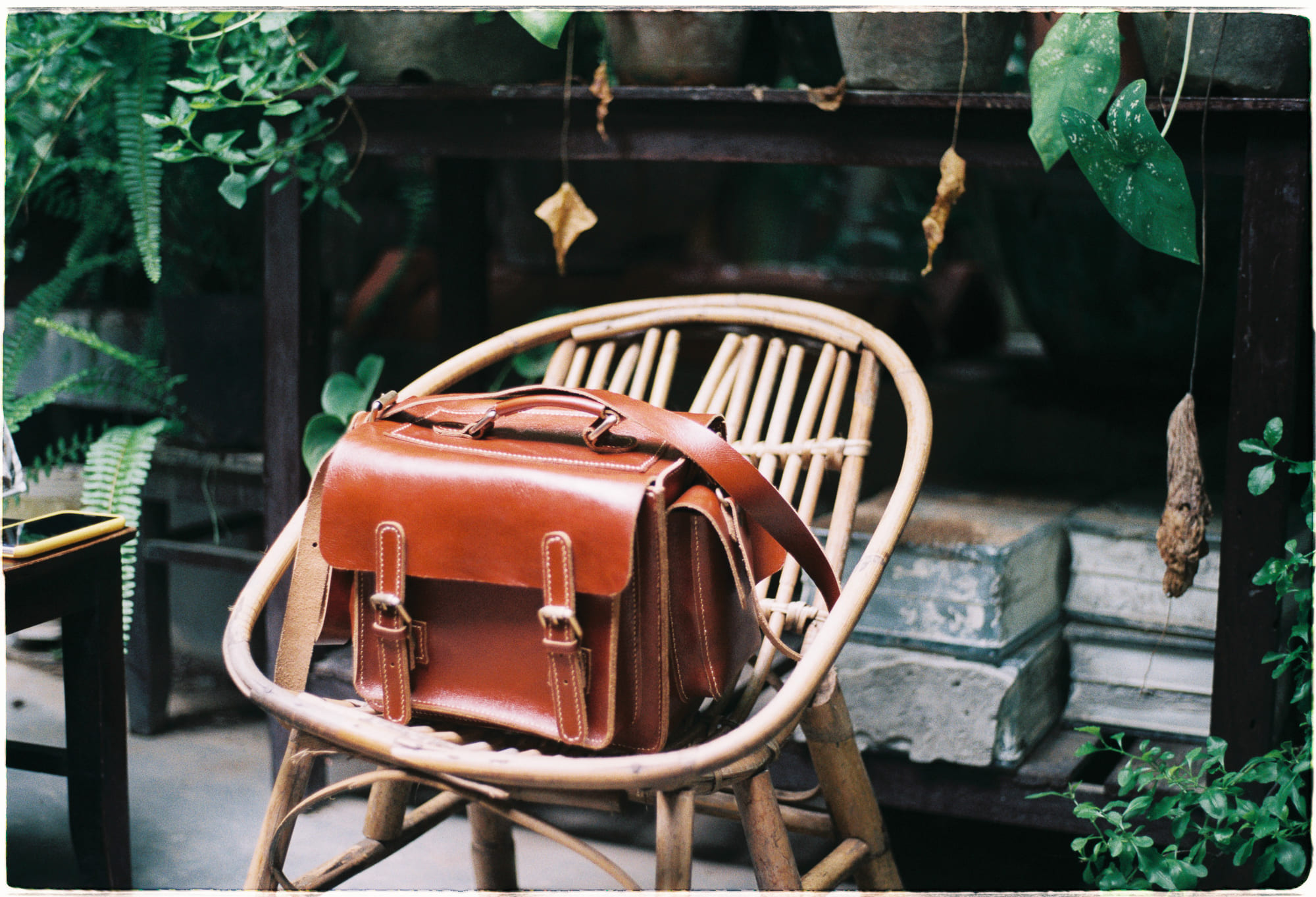 9 sự thật về tuyệt chủng toàn cầu và giải pháp