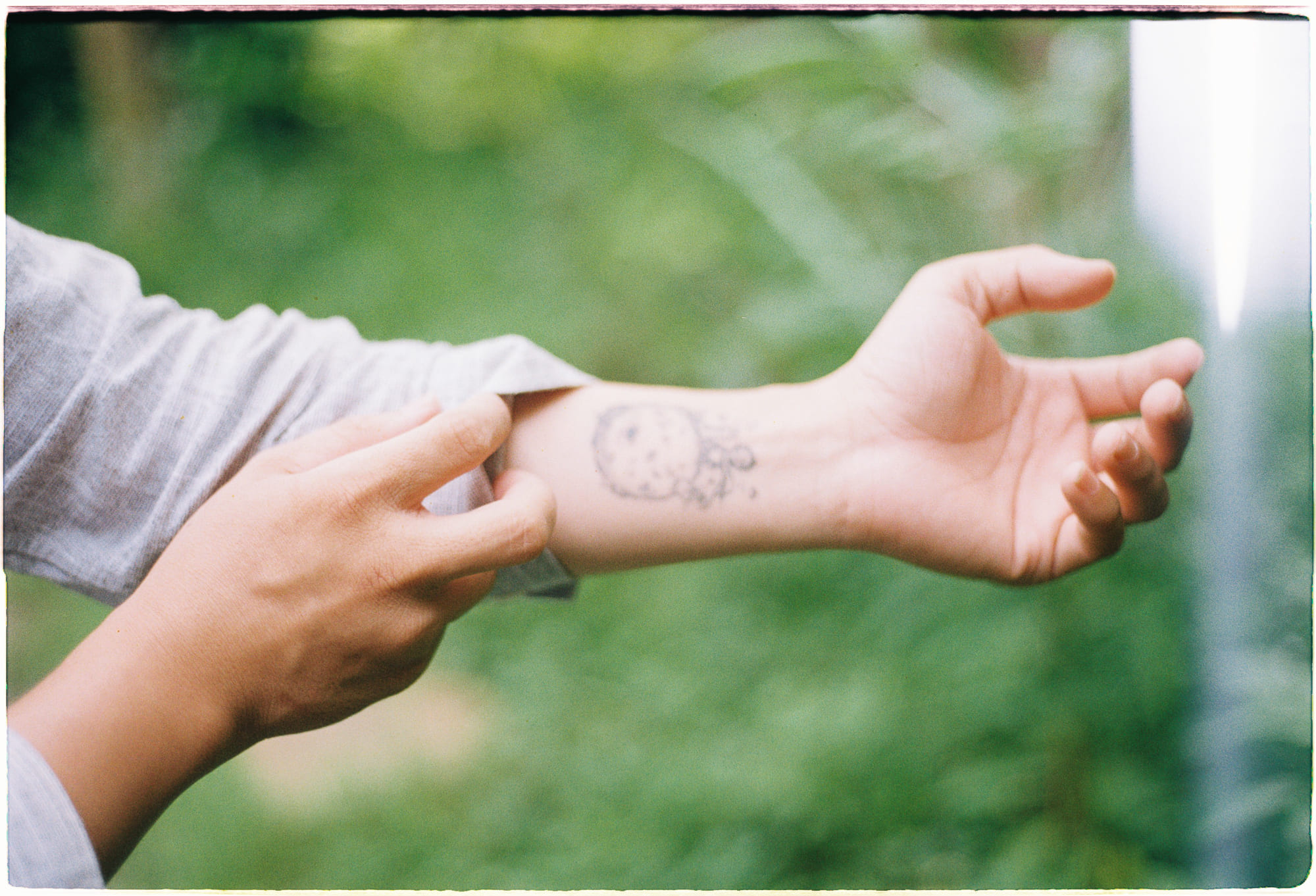 Bảo tồn bản địa cứu những chú chó Rez