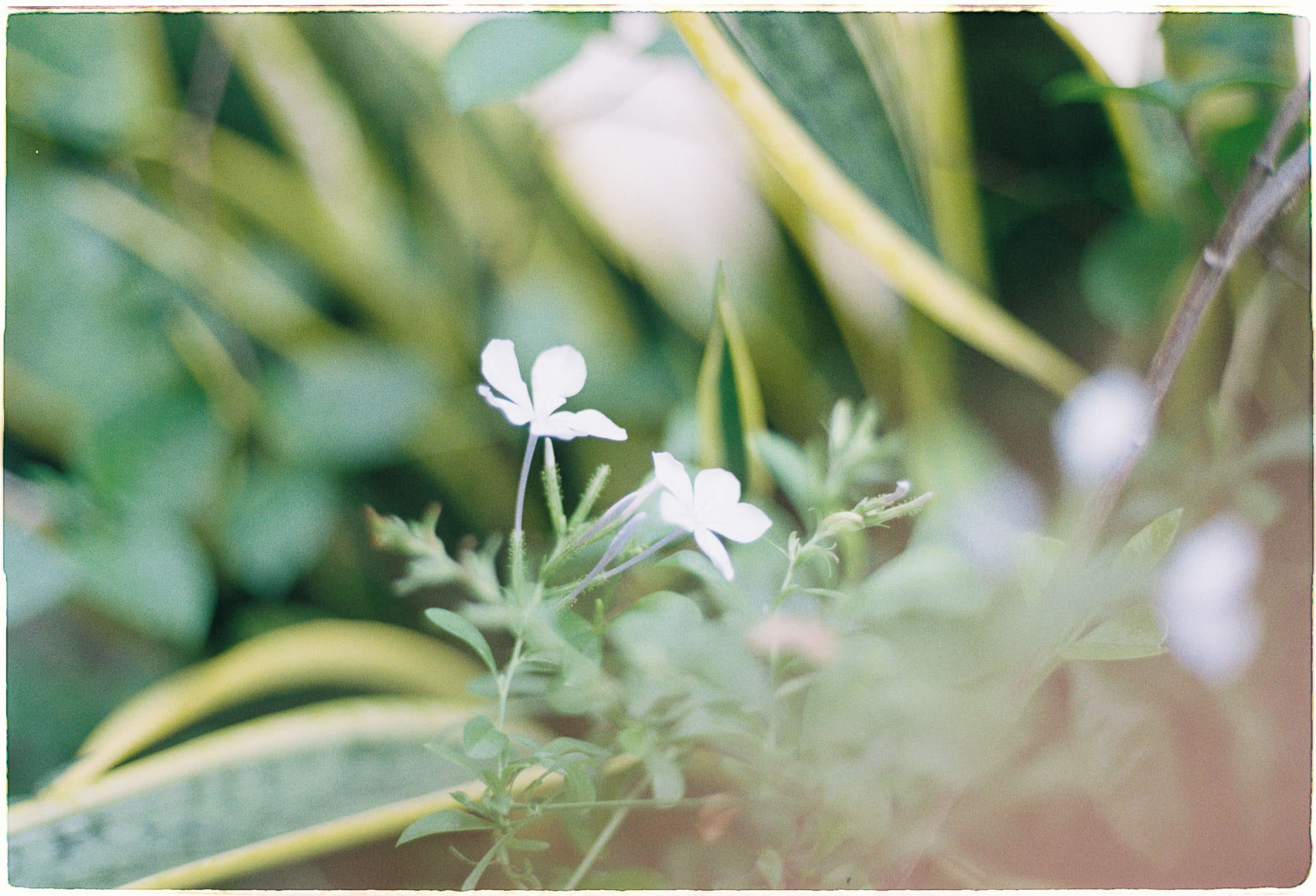 Trung tâm phát triển văn hóa đọc Nhà văn