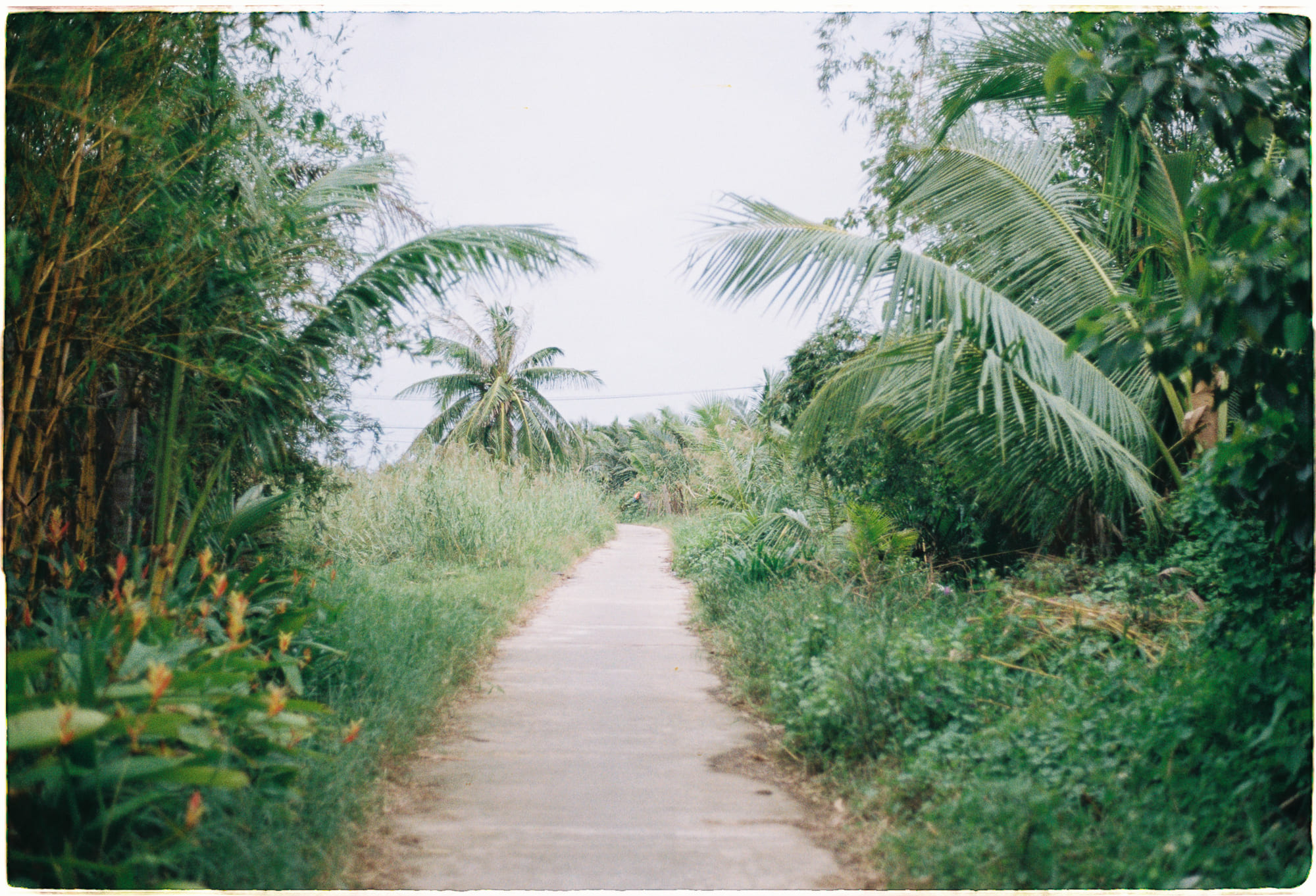 Nghệ thuật nói lên điều thầm kín khi im lặng đau đớn hơn 570 – viet lach, tam ly hoc, truong thanh, nghe thuat, tham kin, chia se, tam su, noi dieu kho noi, noi dieu tham kin.