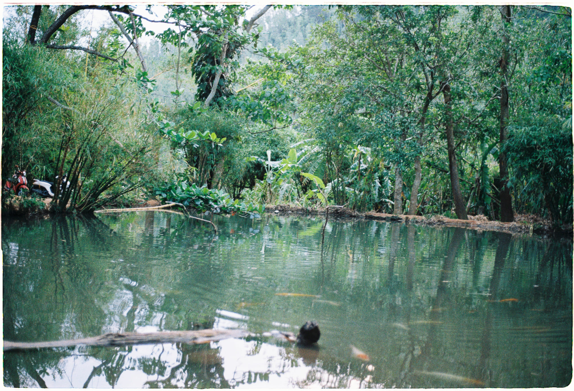 Về ấn bản đầu tiên của Học hỏi từ Las Vegas Về ấn bản đầu tiên của Học hỏi từ Las Vegas 917 – nghien cuu, van hoa, thiet ke, learning from las vegas, hoc hoi tu las vegas, sang tao, hoc hoi las vegas.