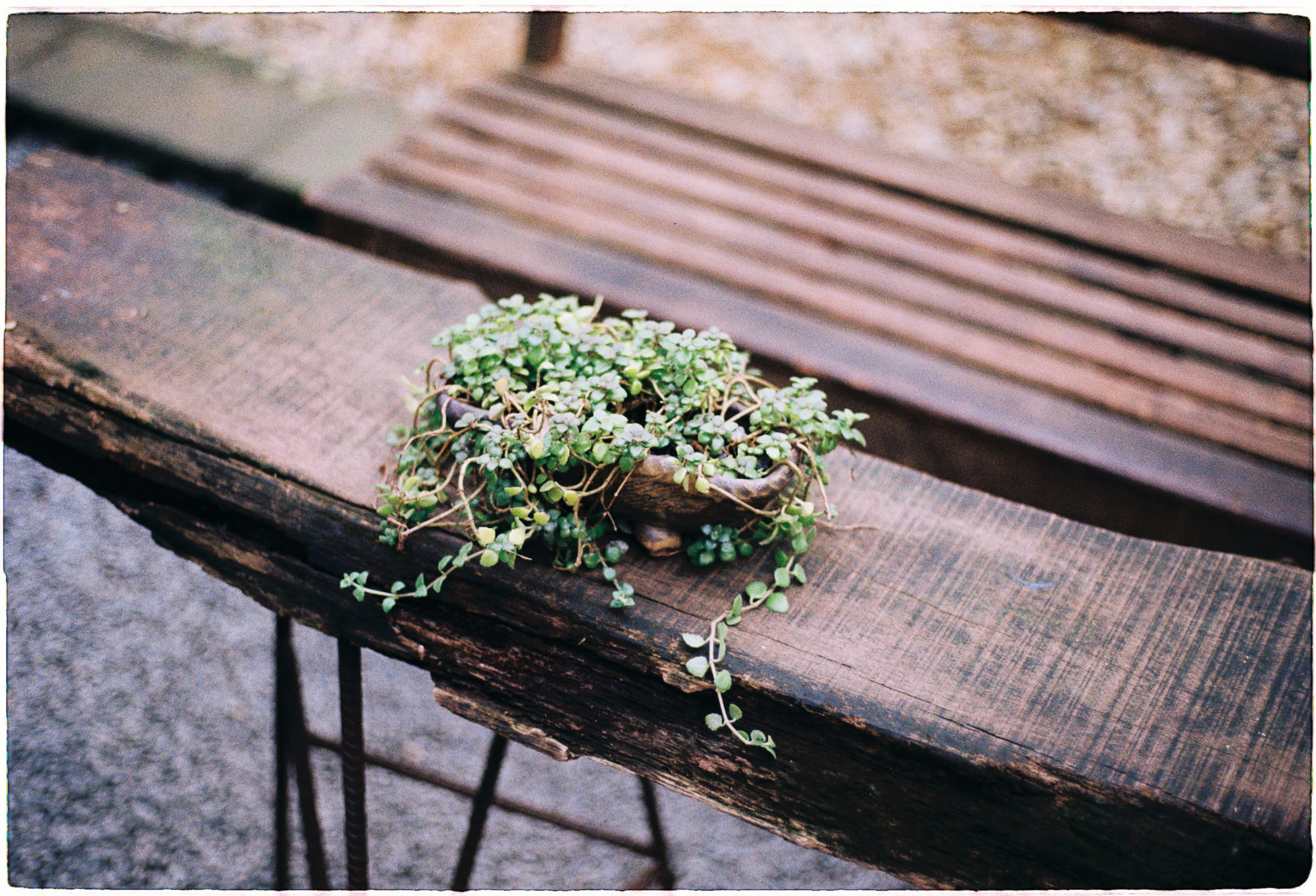 5 kiệt tác trinh thám hay nhất