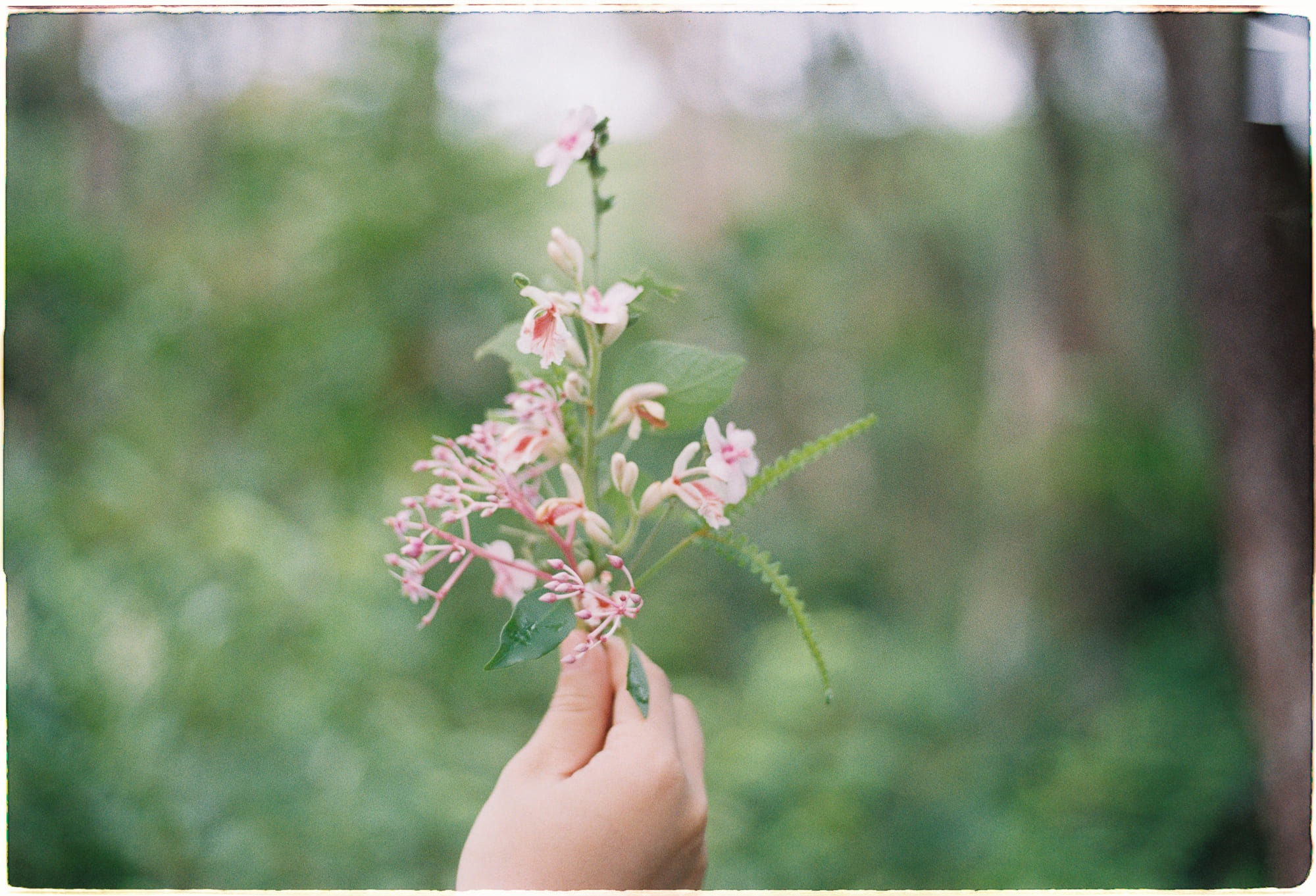 Trao quyền cho động vật để tự cứu con người