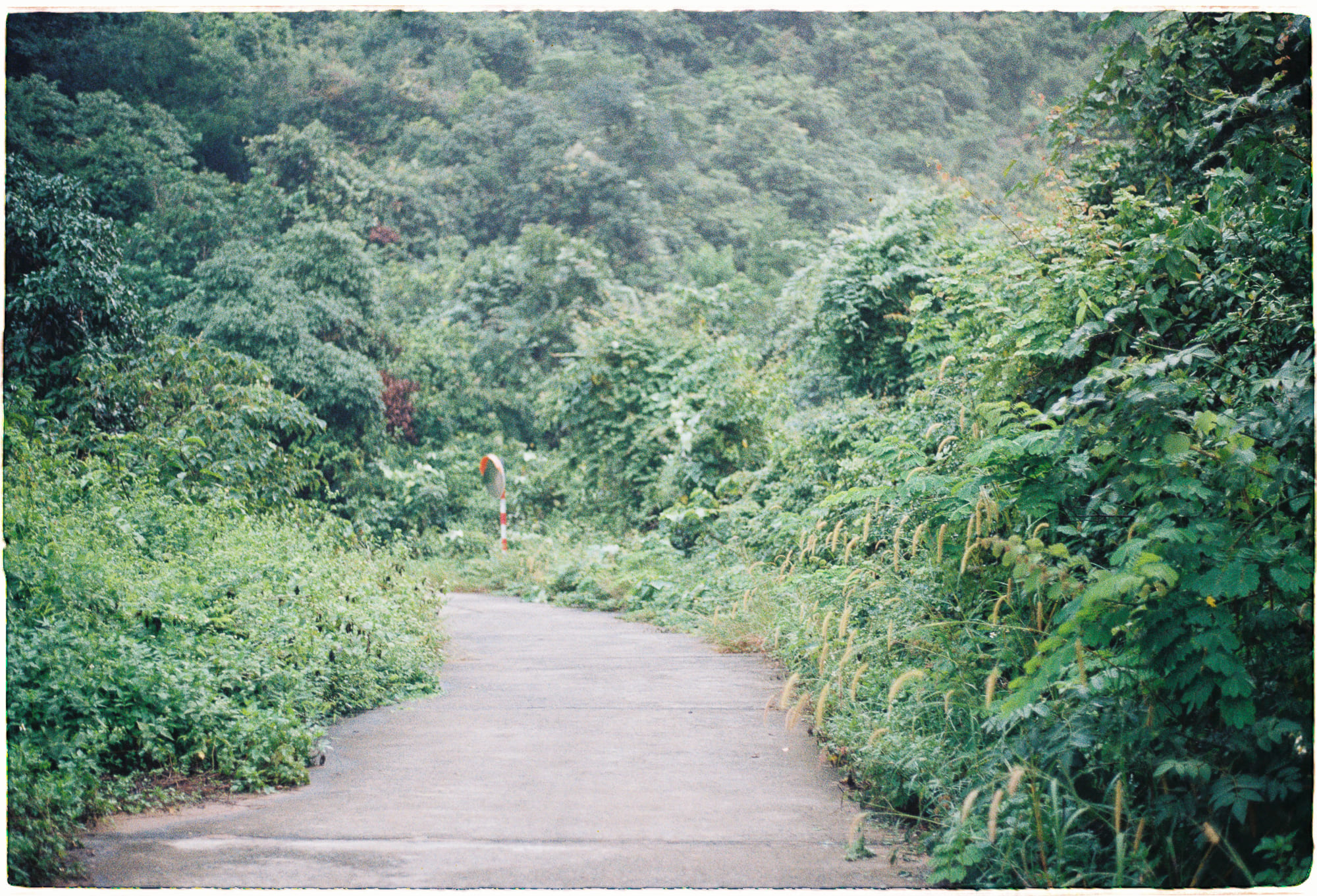 Trung tâm phát triển văn hóa đọc Nhà văn