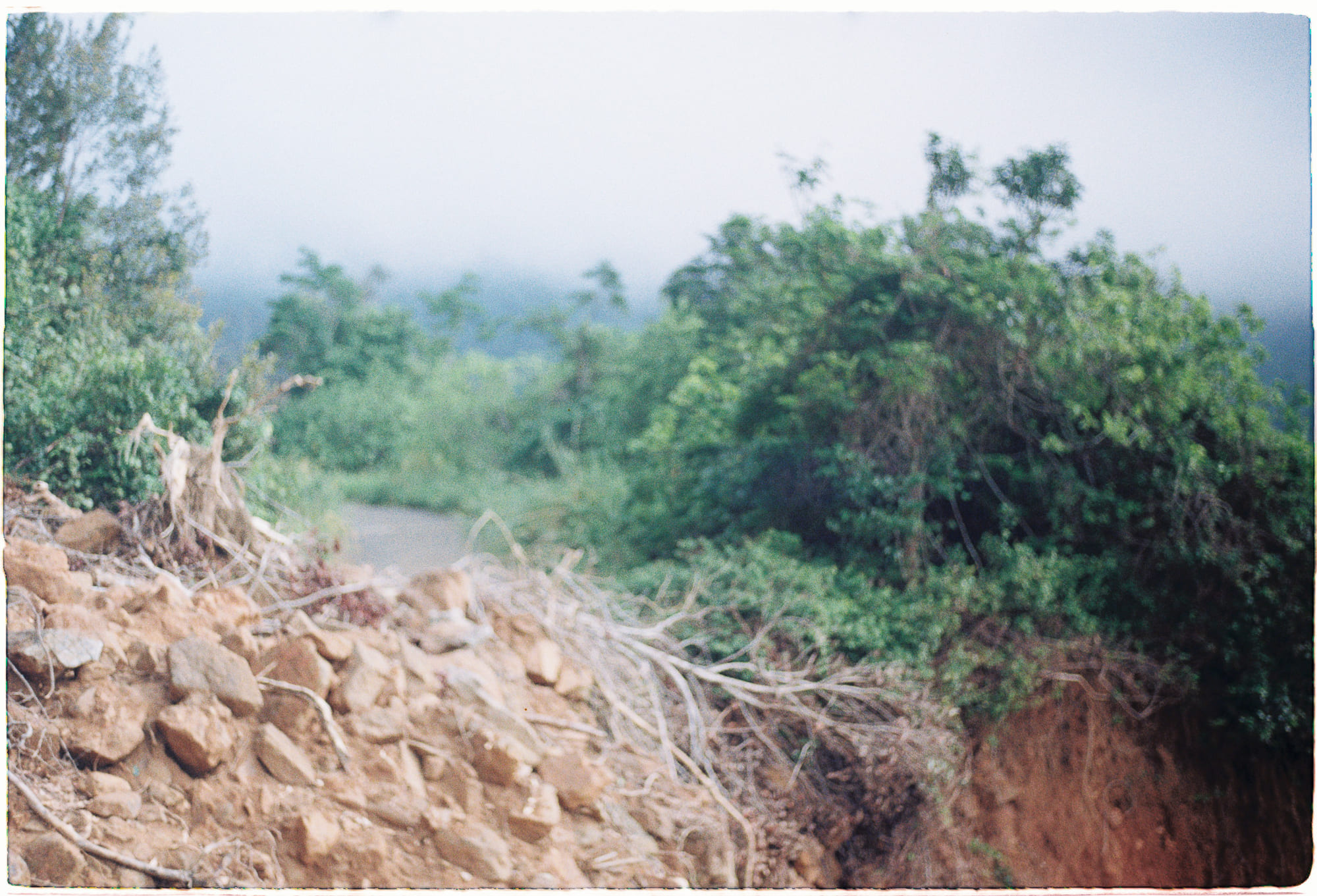 Loài không bản địa đe dọa hoang dã Nam Cực