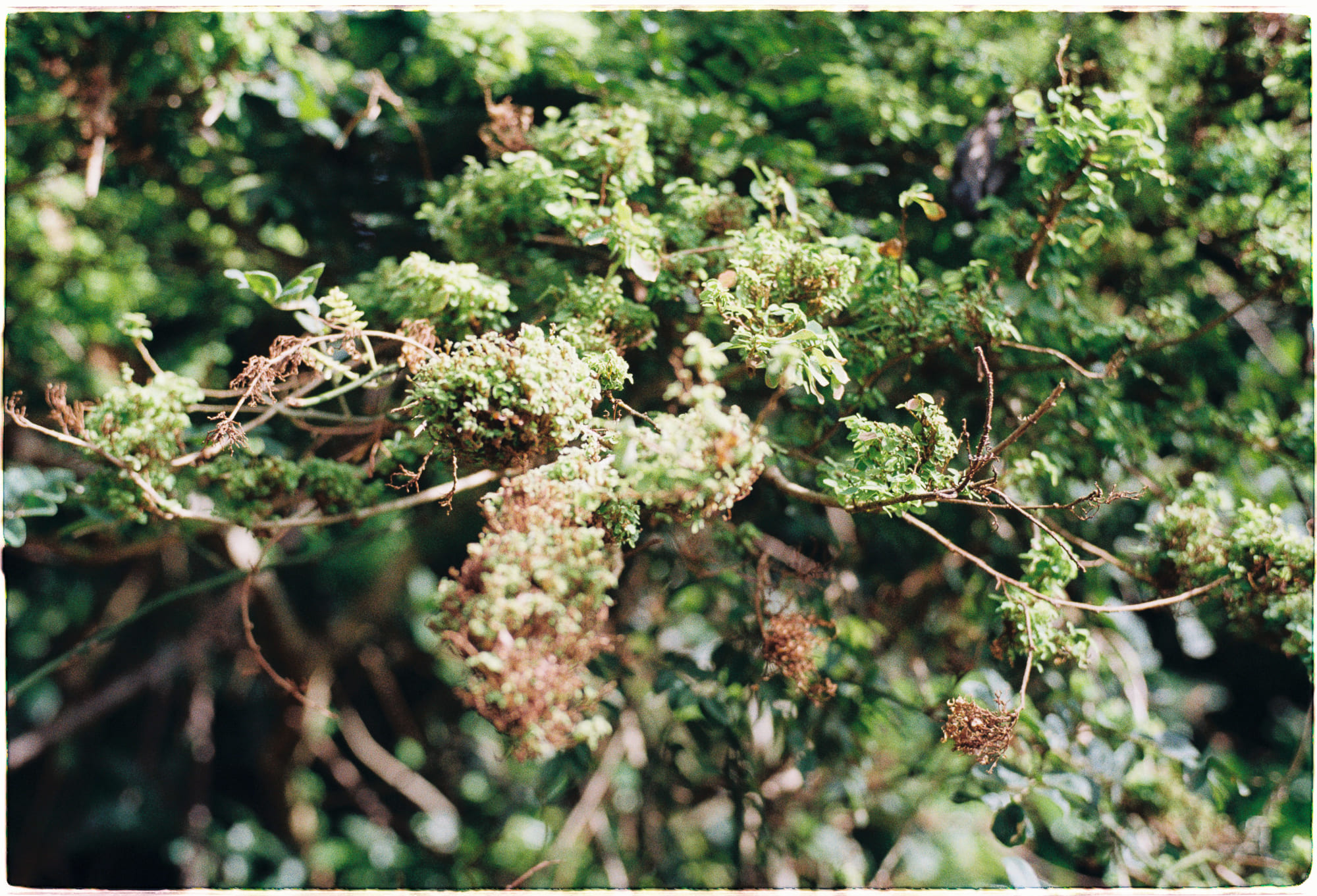 Giải mã các nghịch lý