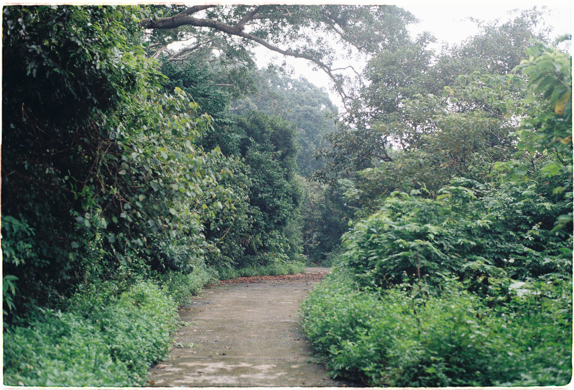 An nhiên trong cơn mưa