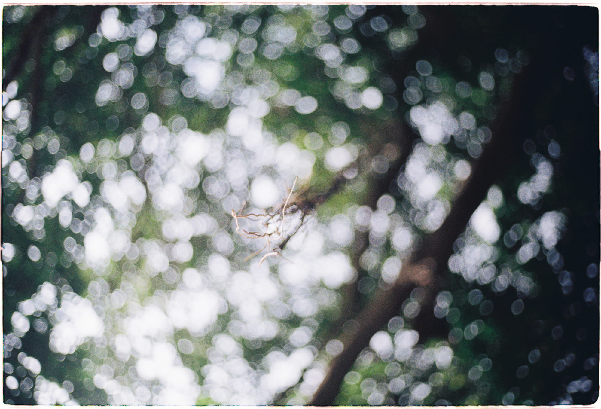 Viên thuốc thay thế tập thể dục, khả thi không