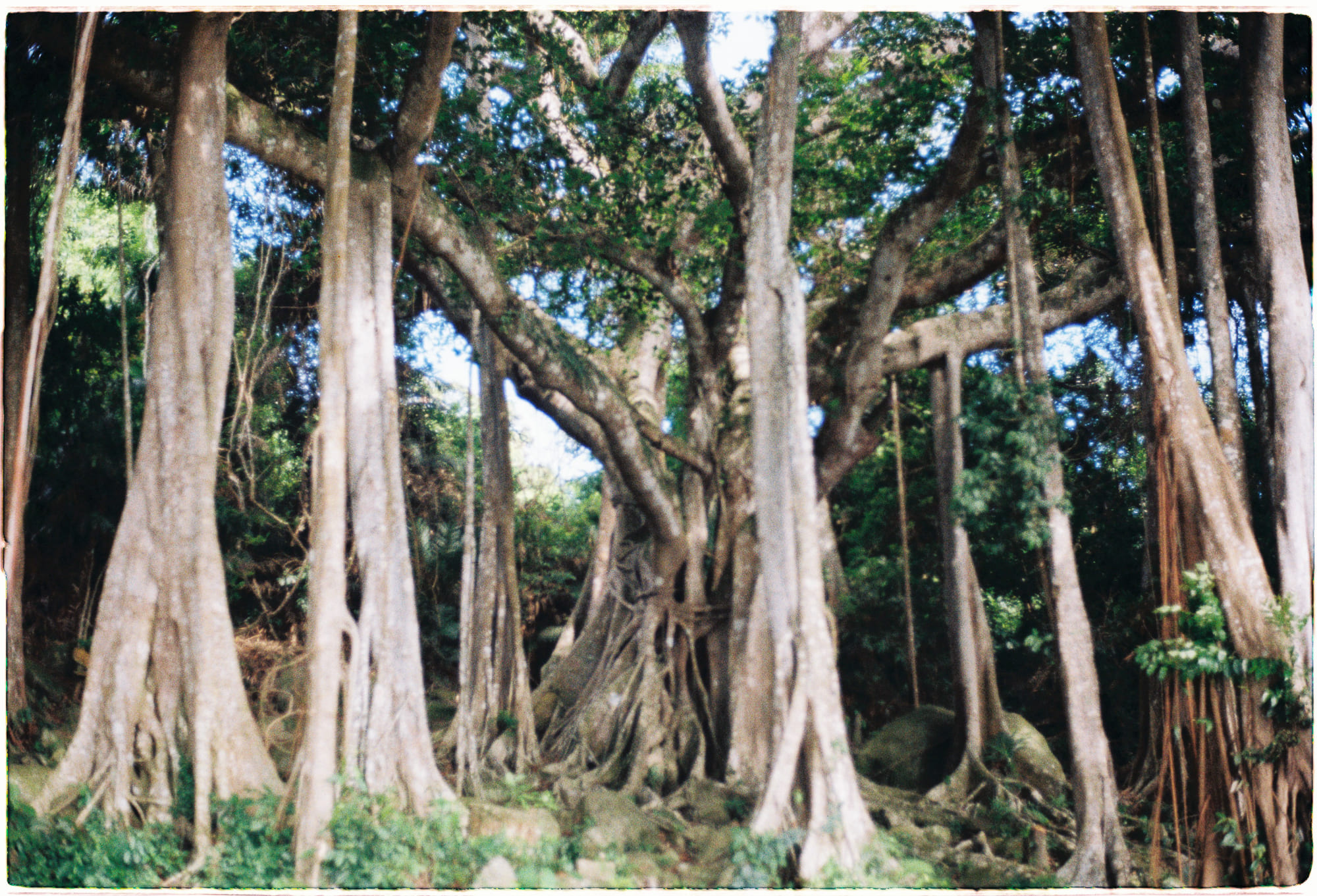 Viết về ngành Tâm lý học giáo dục đã đi qua