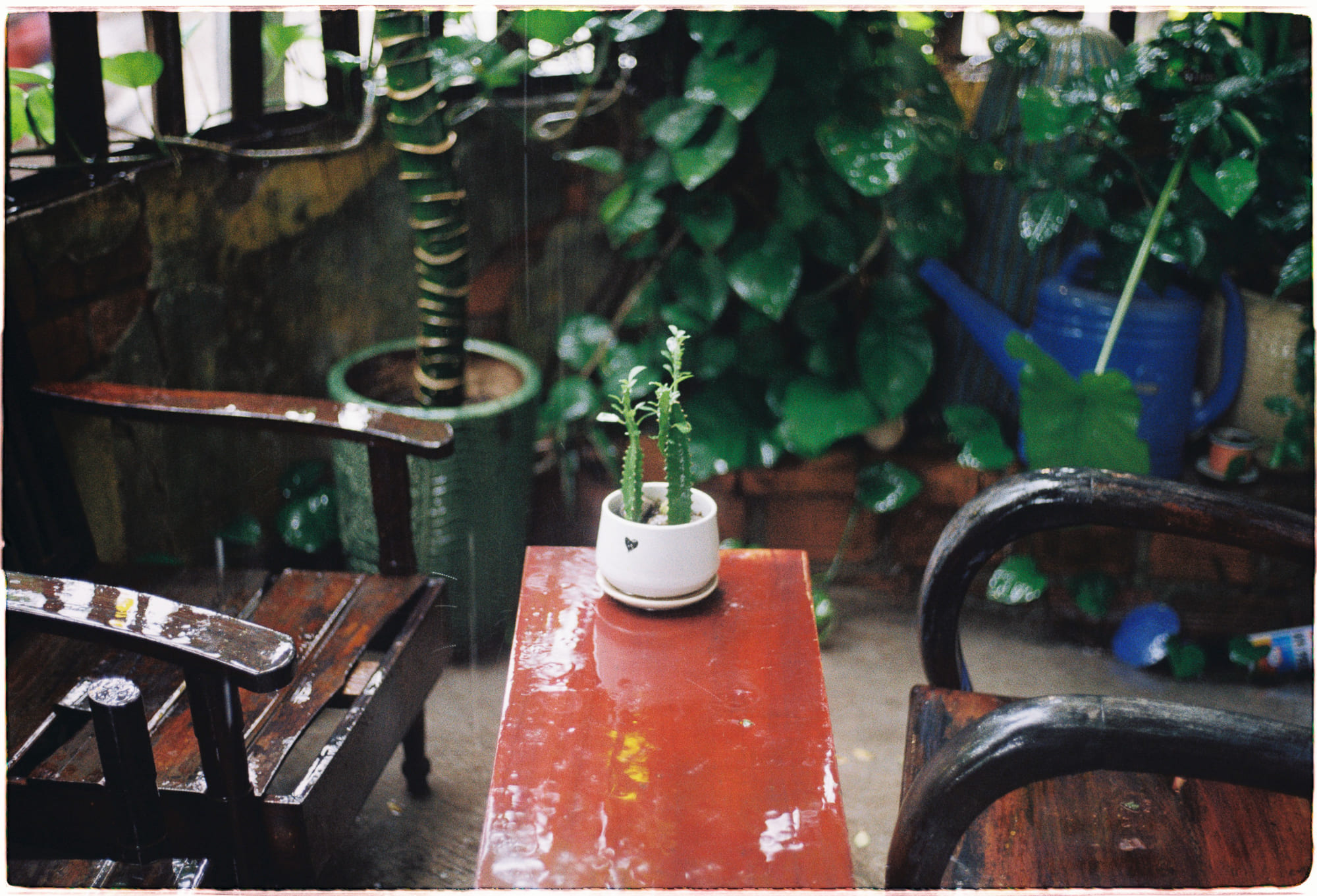 Tình yêu tôi trao là của em mãi mãi 207 – viet lach, tam ly hoc, truong thanh, tinh yeu, tinh yeu trao em, mai mai.