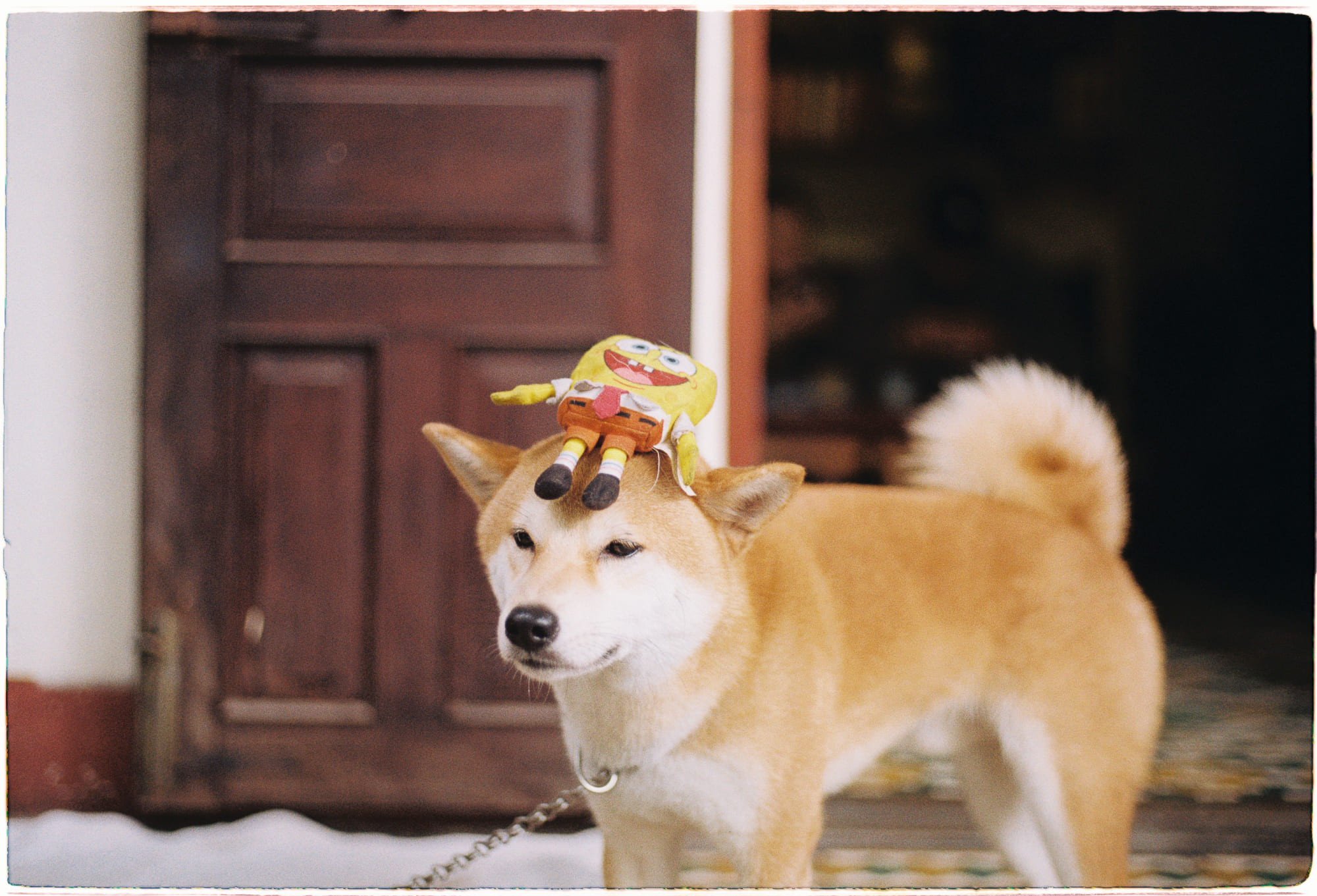 Trung tâm phát triển văn hóa đọc Nhà văn