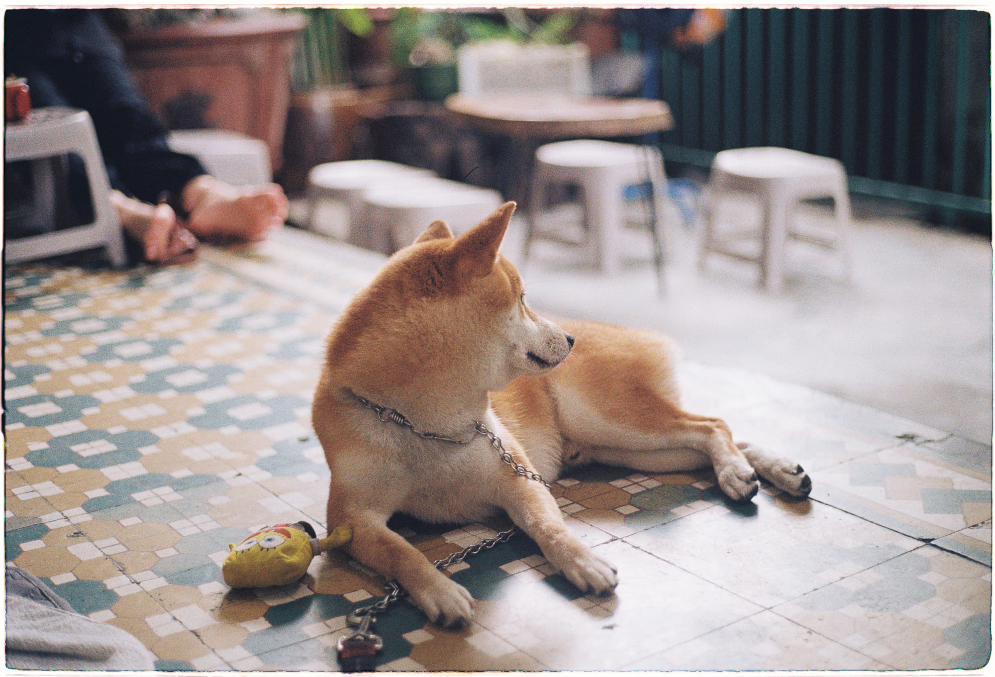 Khối lượng electron quan trọng với sự sống