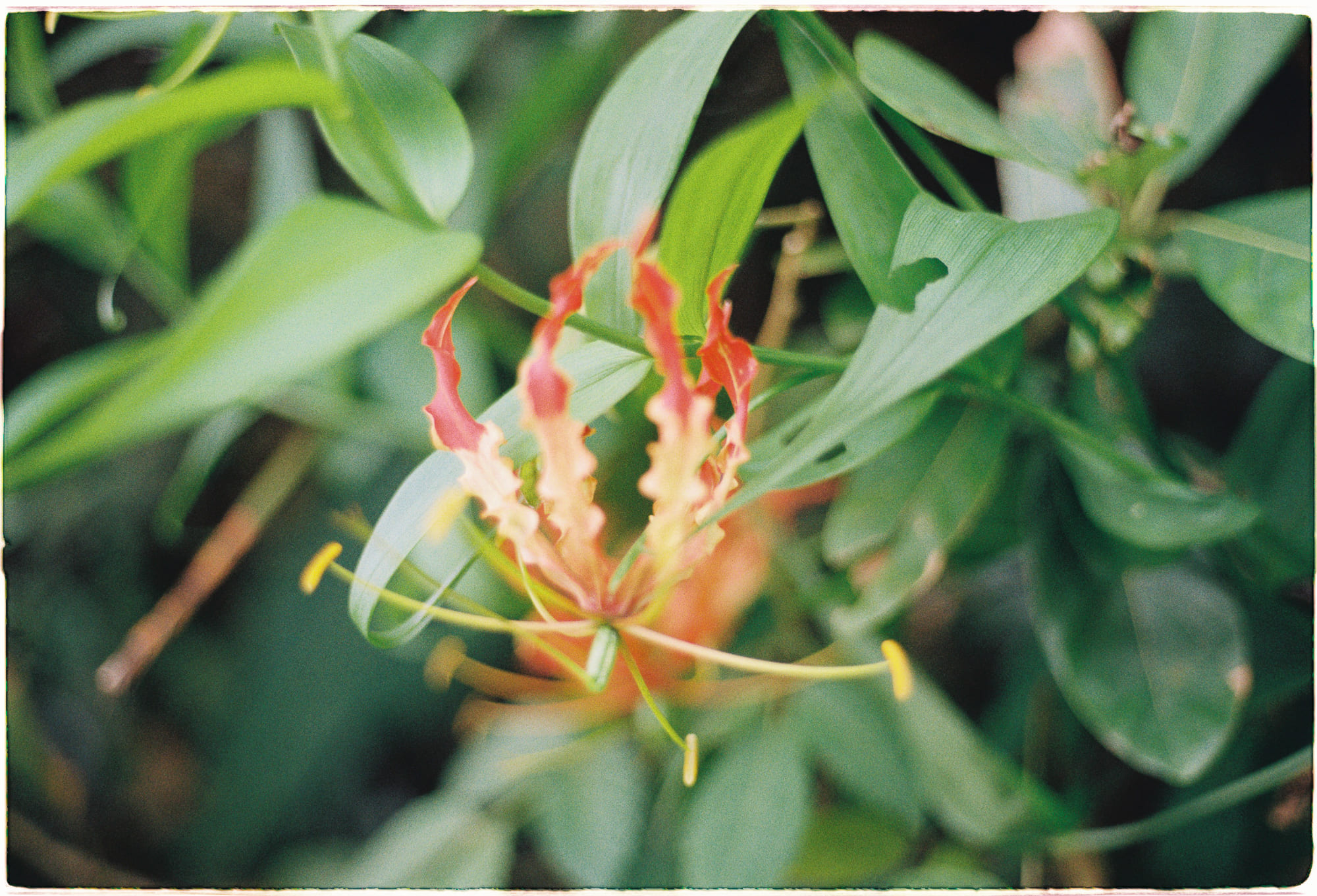 Tại sao các nhà khoa học tránh khả năng về Chúa?