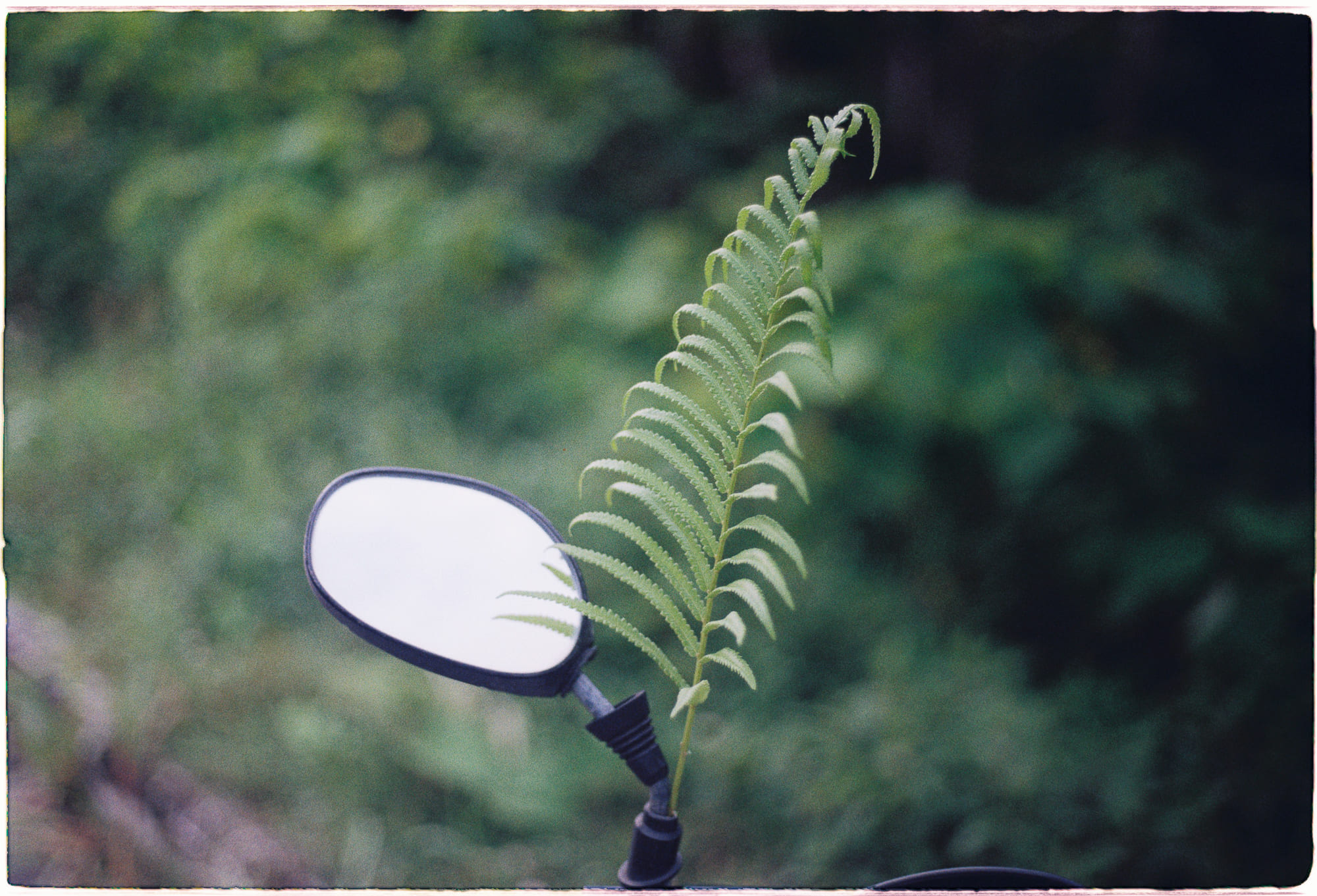Trung tâm phát triển văn hóa đọc Nhà văn