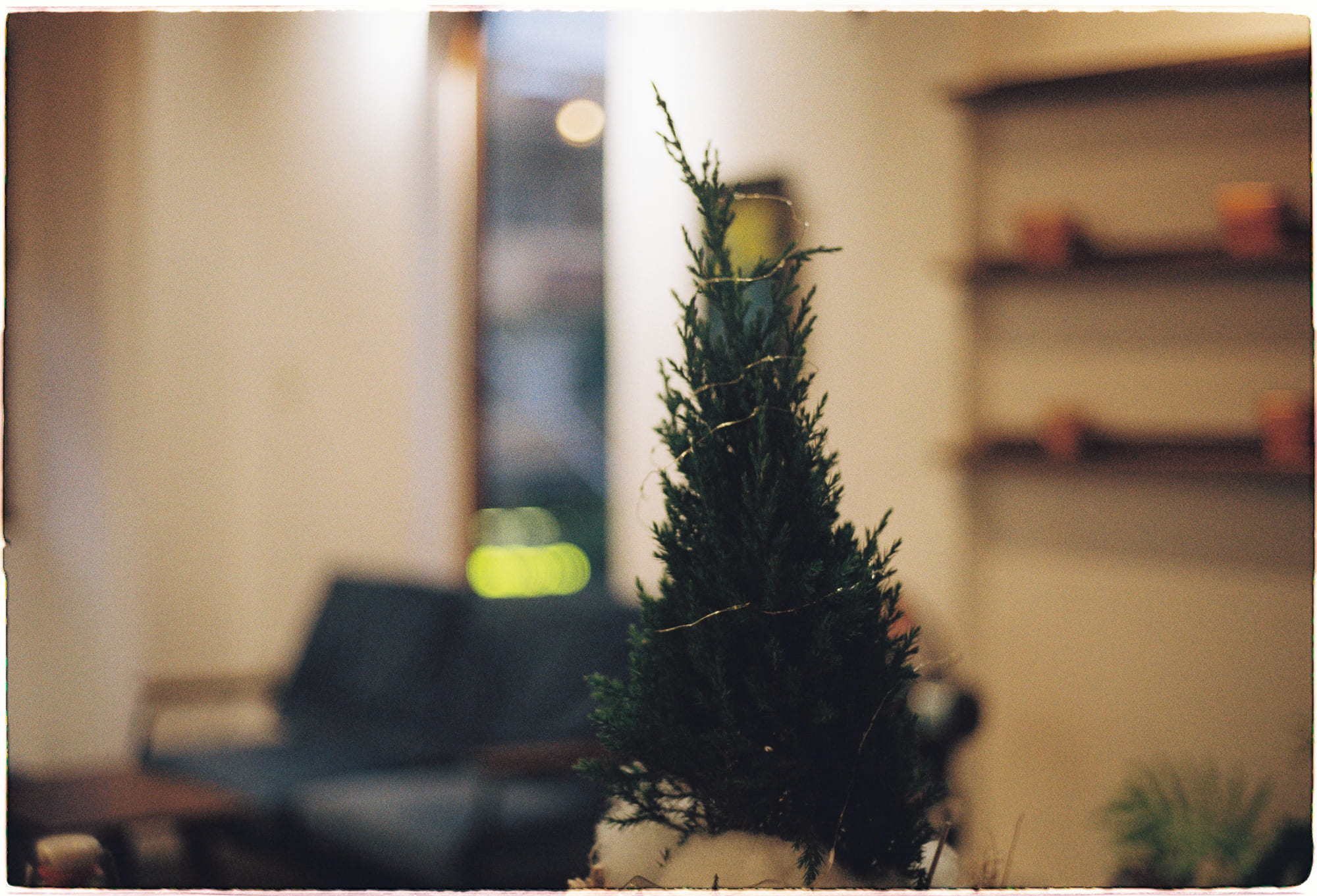 Tuổi già có phải là hiện tượng hiện đại không?