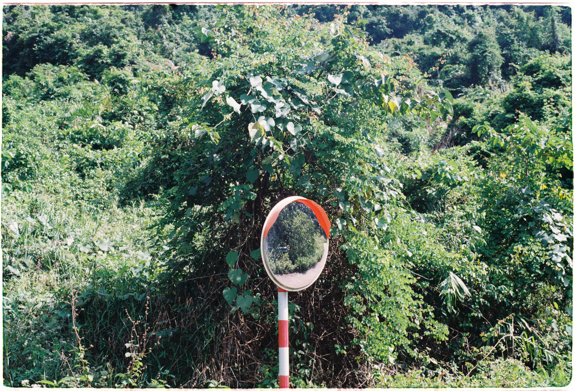 Những câu chuyện về chứng hưng cảm và trầm cảm