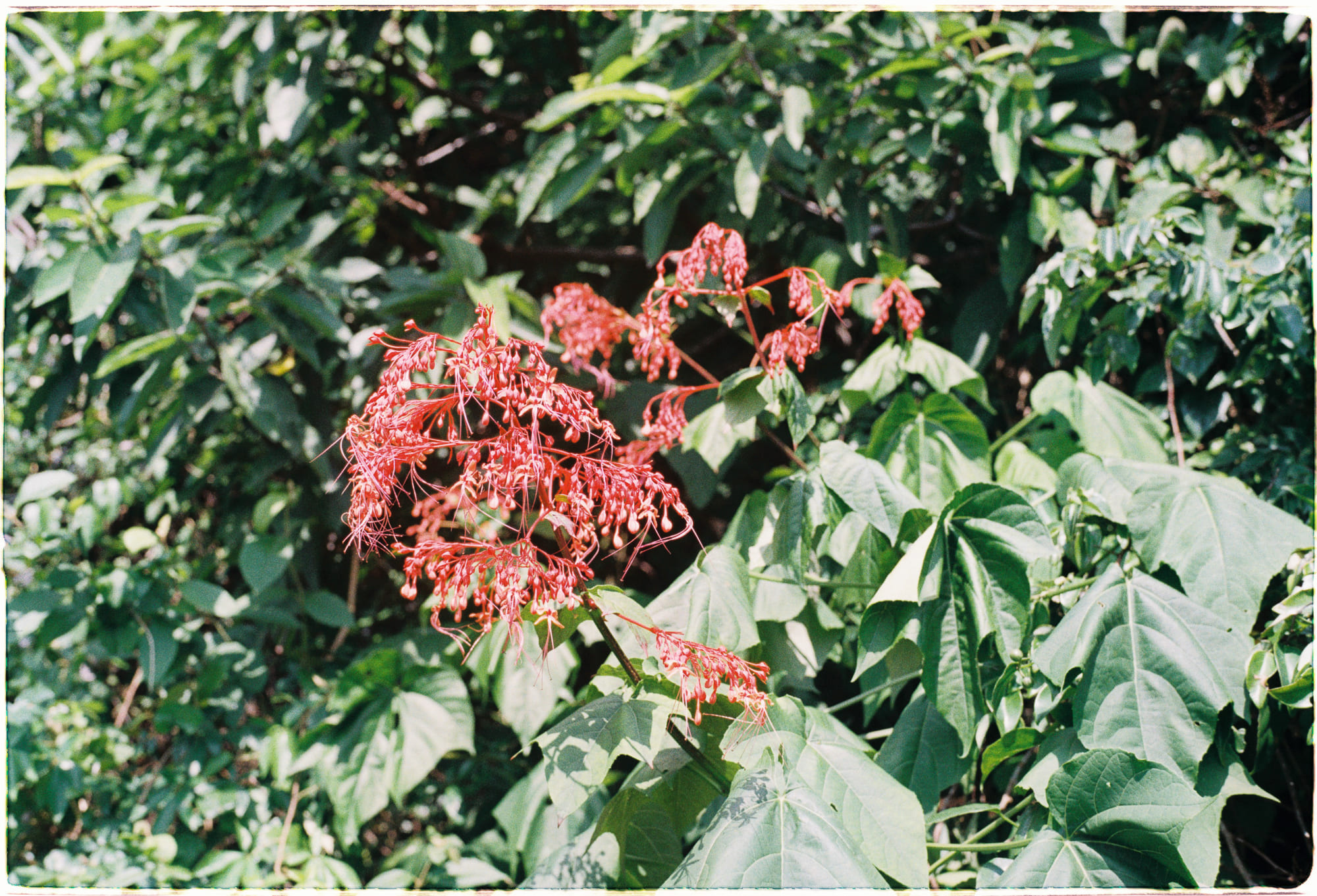 Nghiêng phải khi uống thuốc viên để hiệu quả