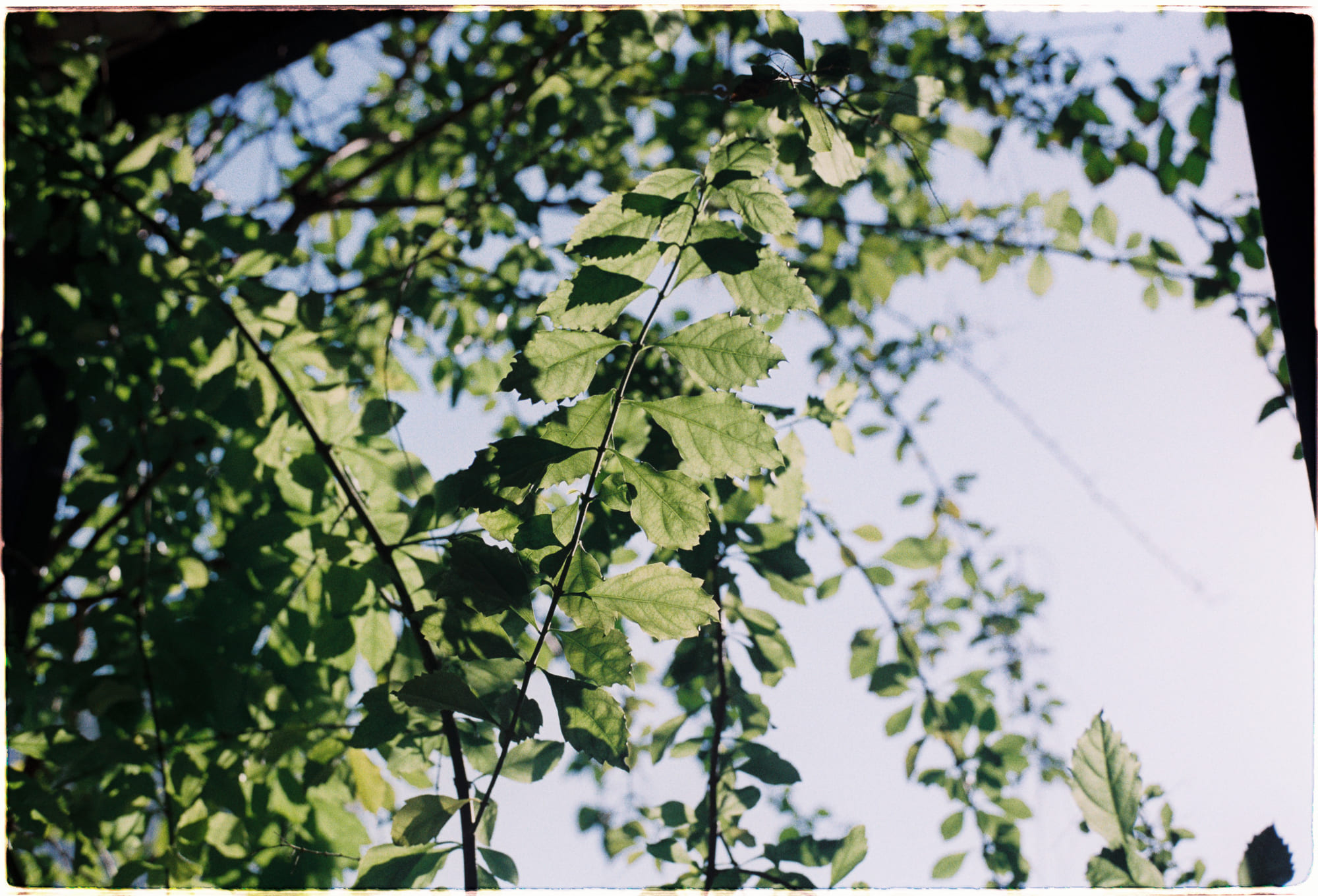 Bài học từ Milky Way trẻ thơ qua kính JWST