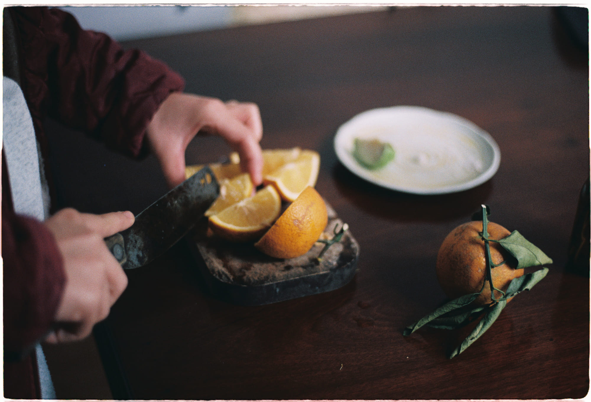 Liệu mèo có thể dạy chúng ta ý nghĩa của cuộc sống?