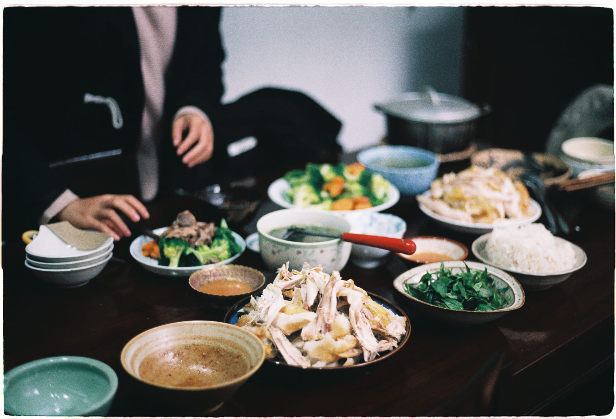 Toxoplasmosis quyết định số phận bầy sói 028 – khoa hoc, tien hoa, dong vat, ky sinh trung, ky sinh dong vat, toxoplasmosis.