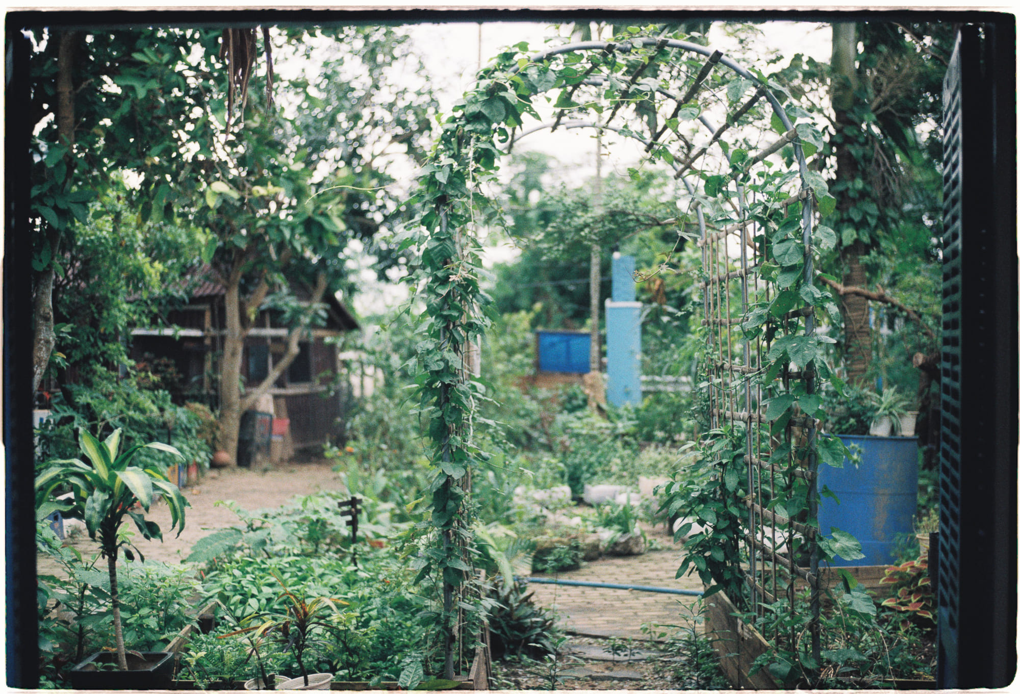 Diễn từ Nobel Văn học 1995 – Tín nhiệm thơ ca, Seamus Heaney