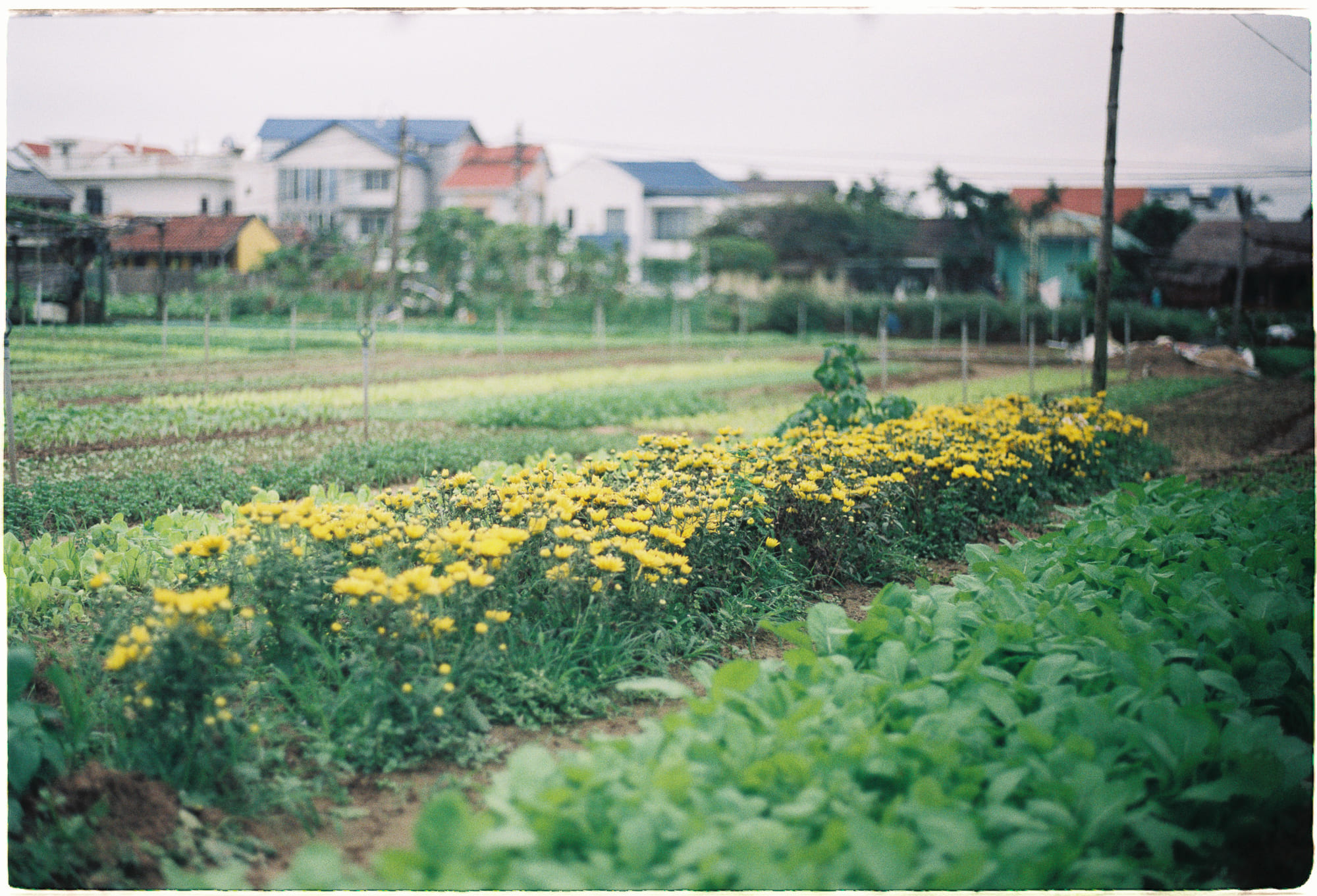 Bạn không dành cho tất cả mọi người, và điều đó hoàn toàn ổn