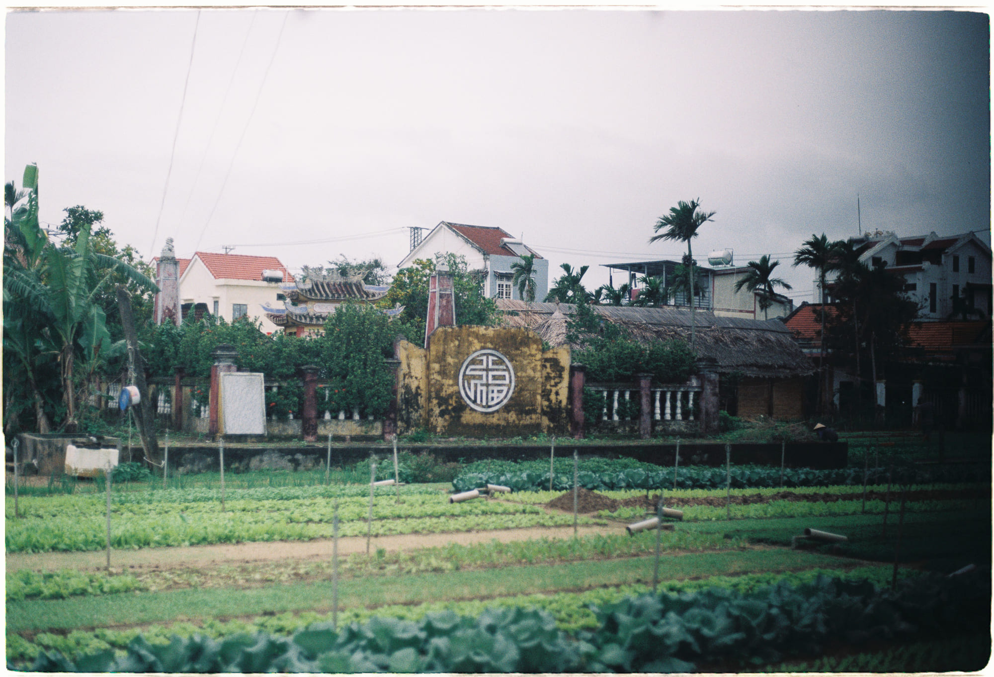 Lược sử về hiện tượng synesthesia