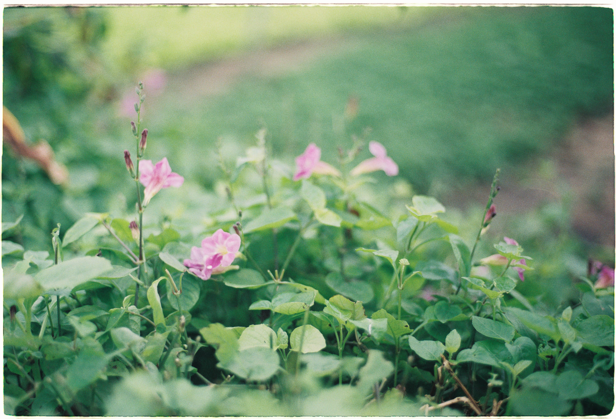 Các thiên tài trong lịch sử đã kiếm tiền như thế nào?