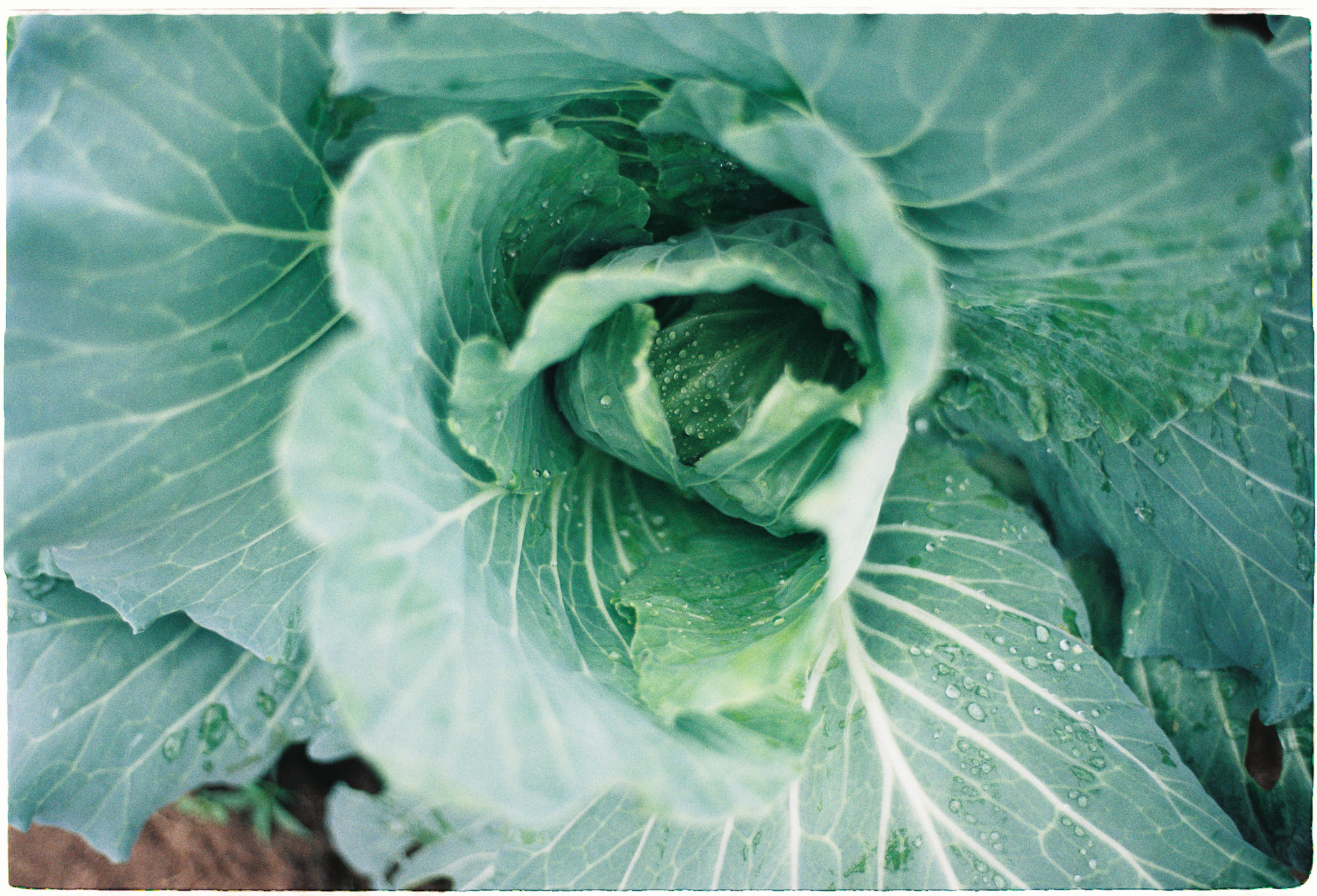 Khoa học có phải là chân lý duy nhất?